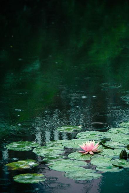 让人静心的经典禅语，句句感悟透彻！(图3)