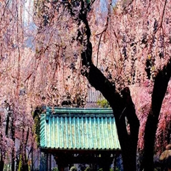 老祖宗修心对联30副:眼里有尘天下窄,胸中无事一床宽(图4) 老祖宗修心对联30副:眼里有尘天下窄,胸中无事一床宽(图4)