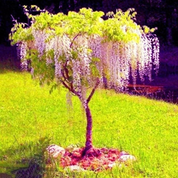 老祖宗修心对联30副:眼里有尘天下窄,胸中无事一床宽(图10) 老祖宗修心对联30副:眼里有尘天下窄,胸中无事一床宽(图10)