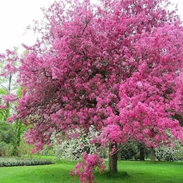 老祖宗修心对联30副:眼里有尘天下窄,胸中无事一床宽(图12) 老祖宗修心对联30副:眼里有尘天下窄,胸中无事一床宽(图12)