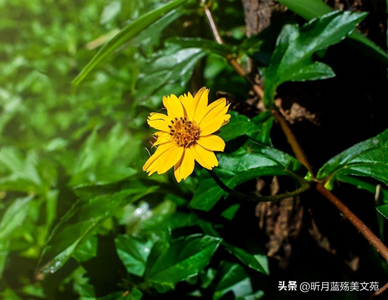 有一个最爱的人，是一辈子的牵挂(图2)