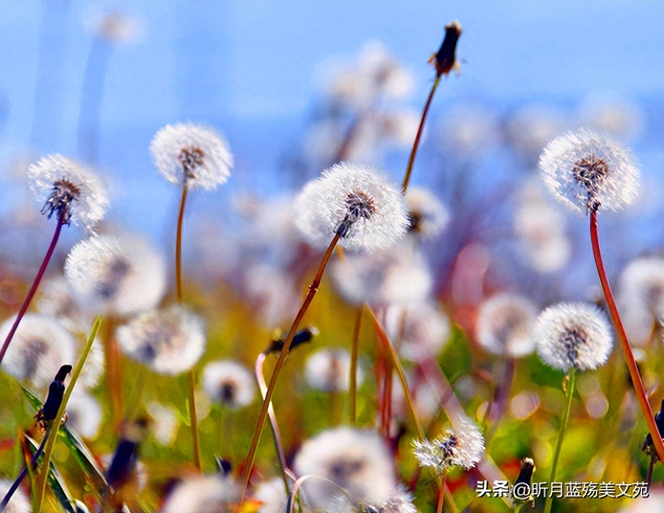 有一个最爱的人，是一辈子的牵挂(图3)