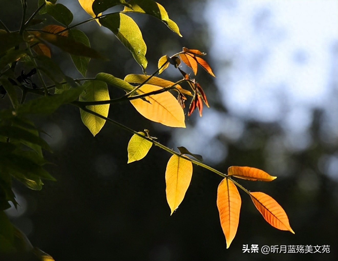 有一个最爱的人，是一辈子的牵挂(图4)