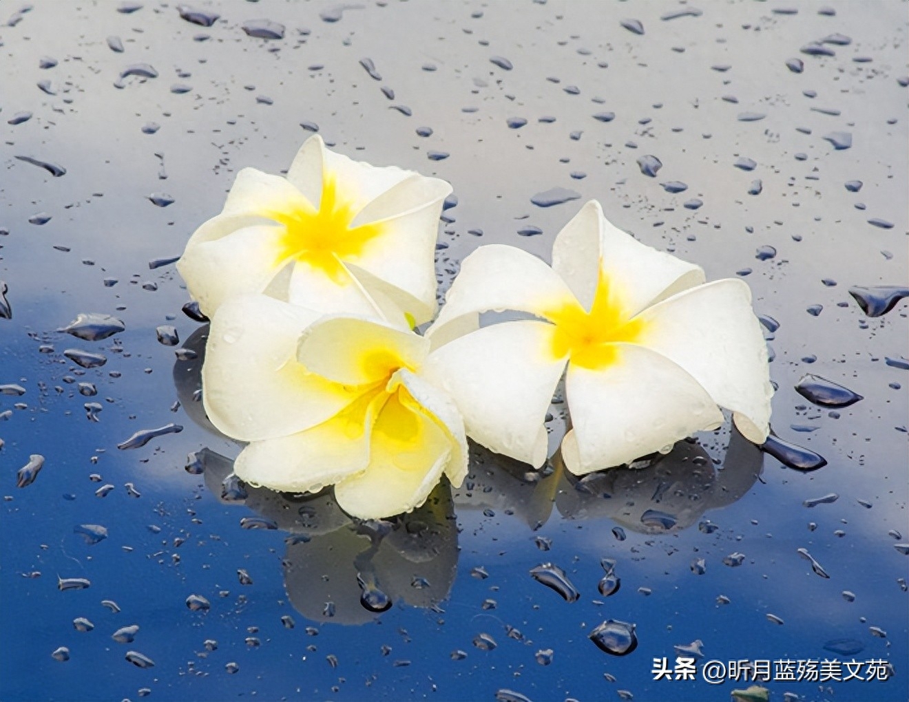 有一个最爱的人，是一辈子的牵挂(图5)