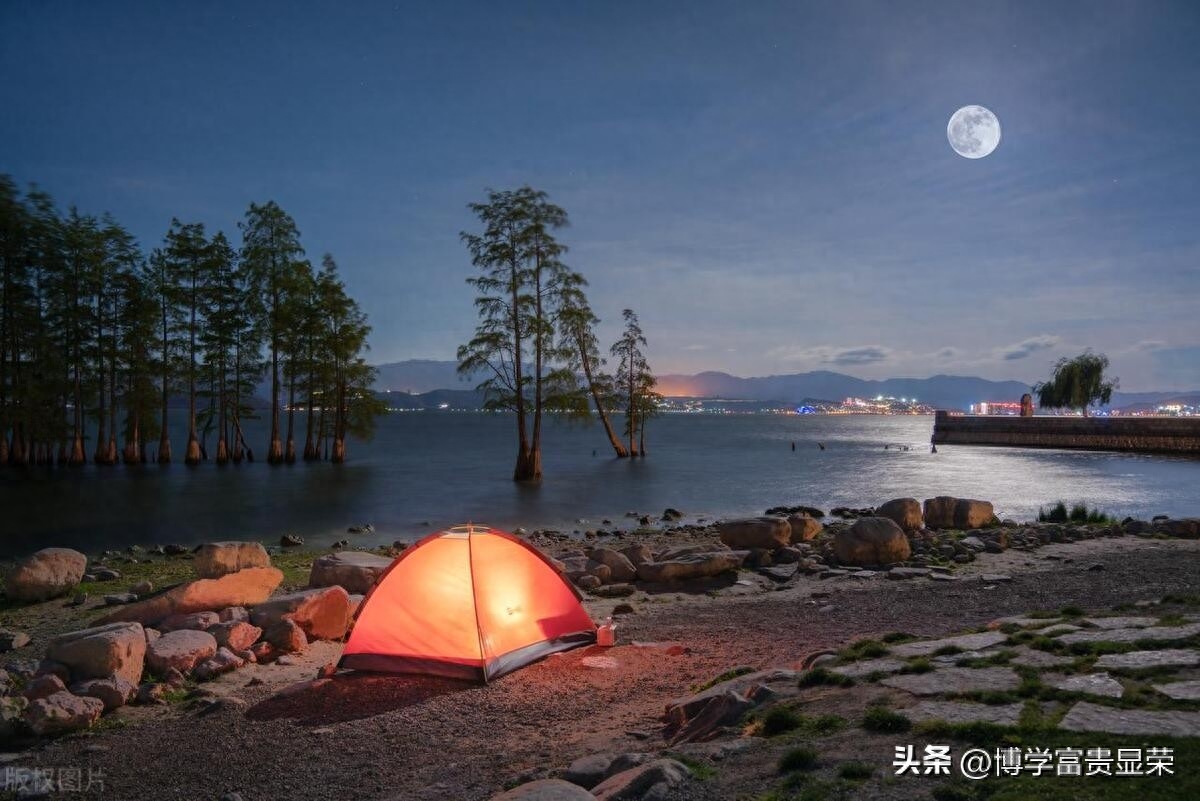 有爱就好，别太过头——情感句子(图1)