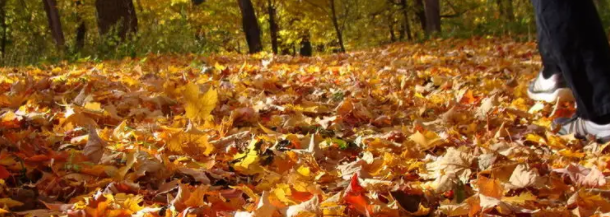 看一眼就忍不住想哭的句子，心情压抑不开心的催泪说说，极度悲伤(图1)
