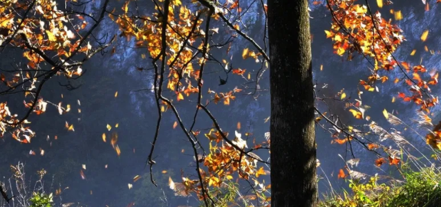 看一眼就忍不住想哭的句子，心情压抑不开心的催泪说说，极度悲伤(图3)