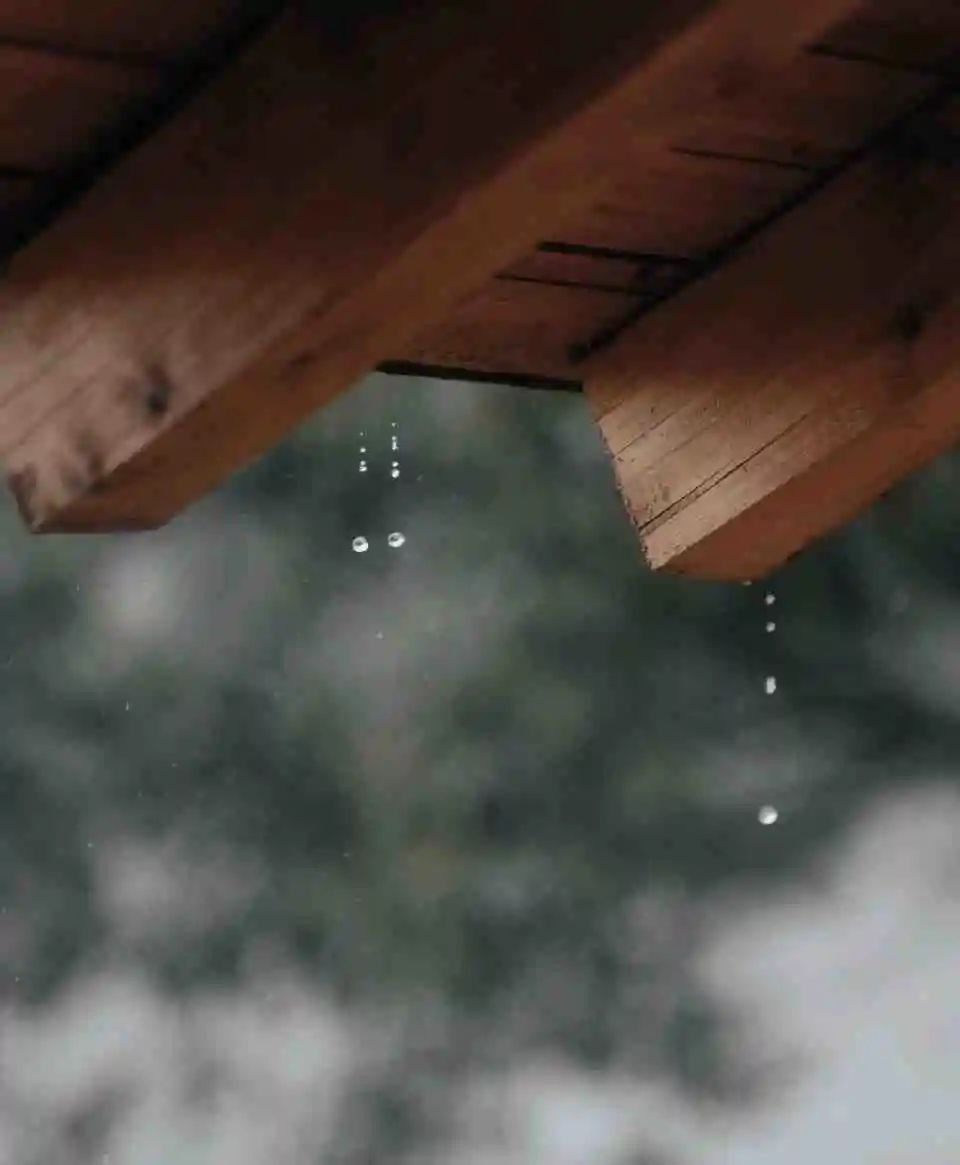 春雨煎茶，听雨看花(图2)