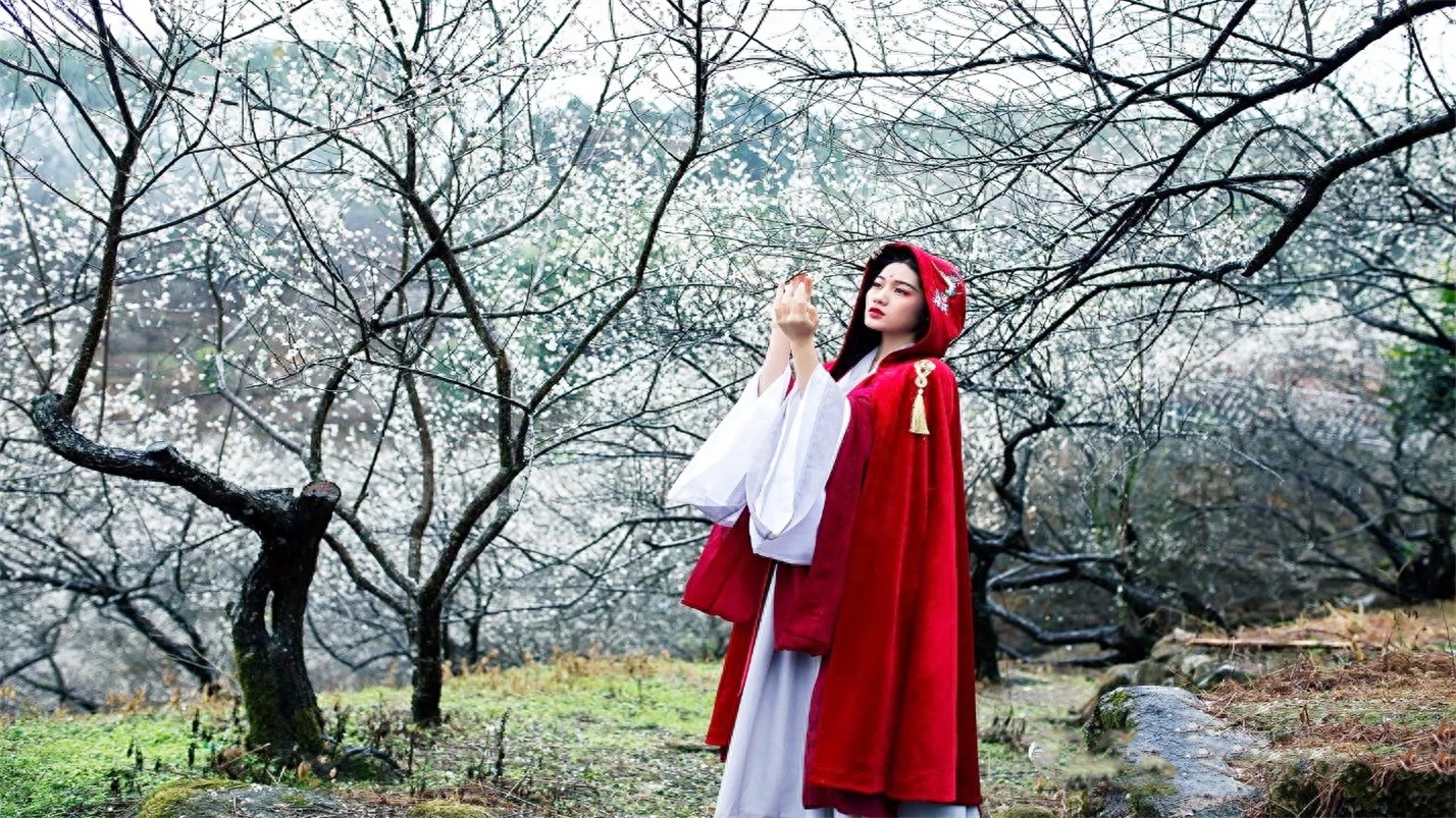 抬头观云喝茶，垂首听雨赏花(图4)