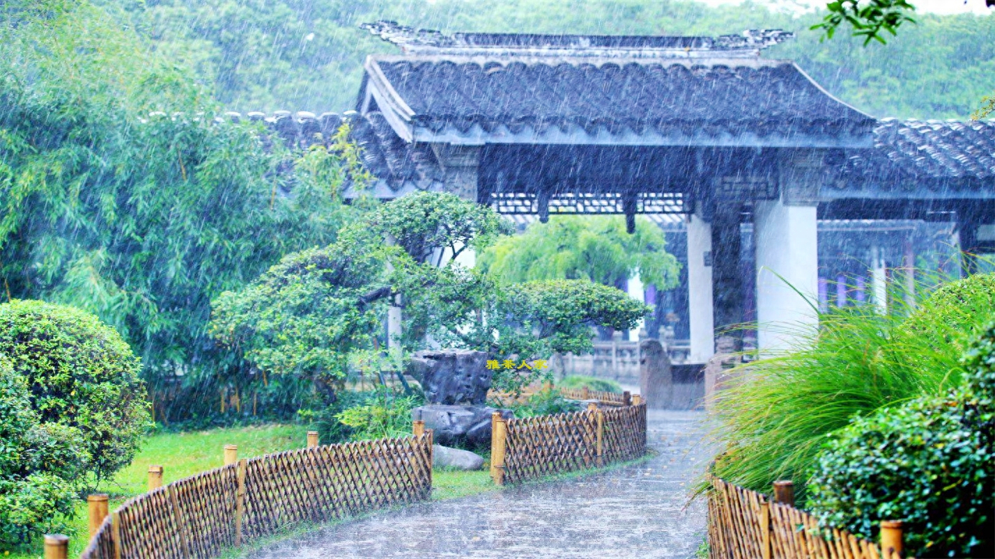 抬头观云喝茶，垂首听雨赏花(图7)