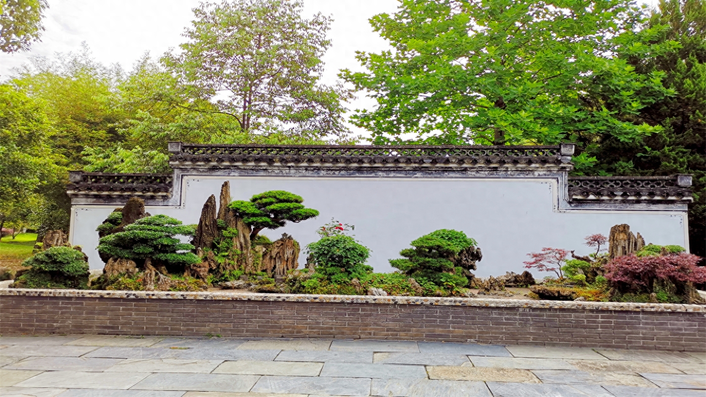 抬头观云喝茶，垂首听雨赏花(图22)