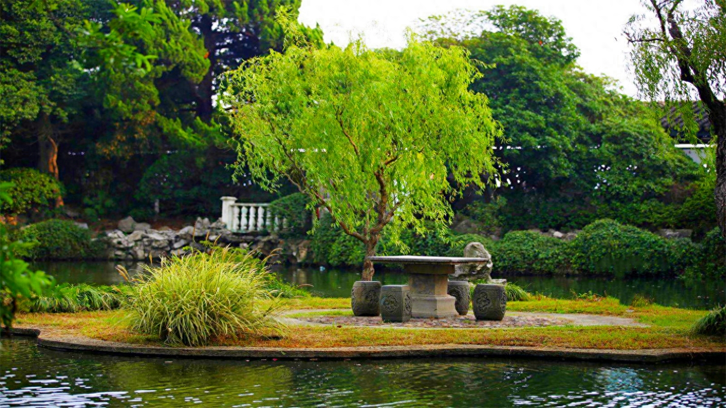抬头观云喝茶，垂首听雨赏花(图24)