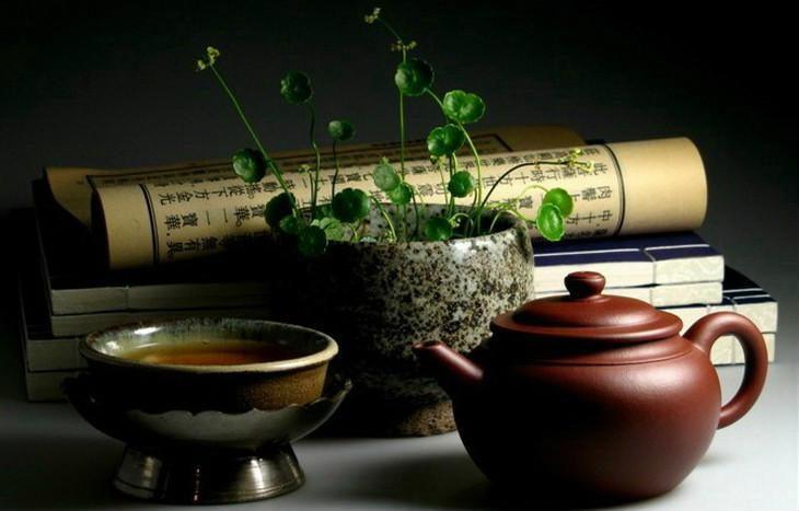 在唐诗宋词的花园里，茶是一朵琪花瑶草，袅袅茶香与茶韵流淌千年(图15)