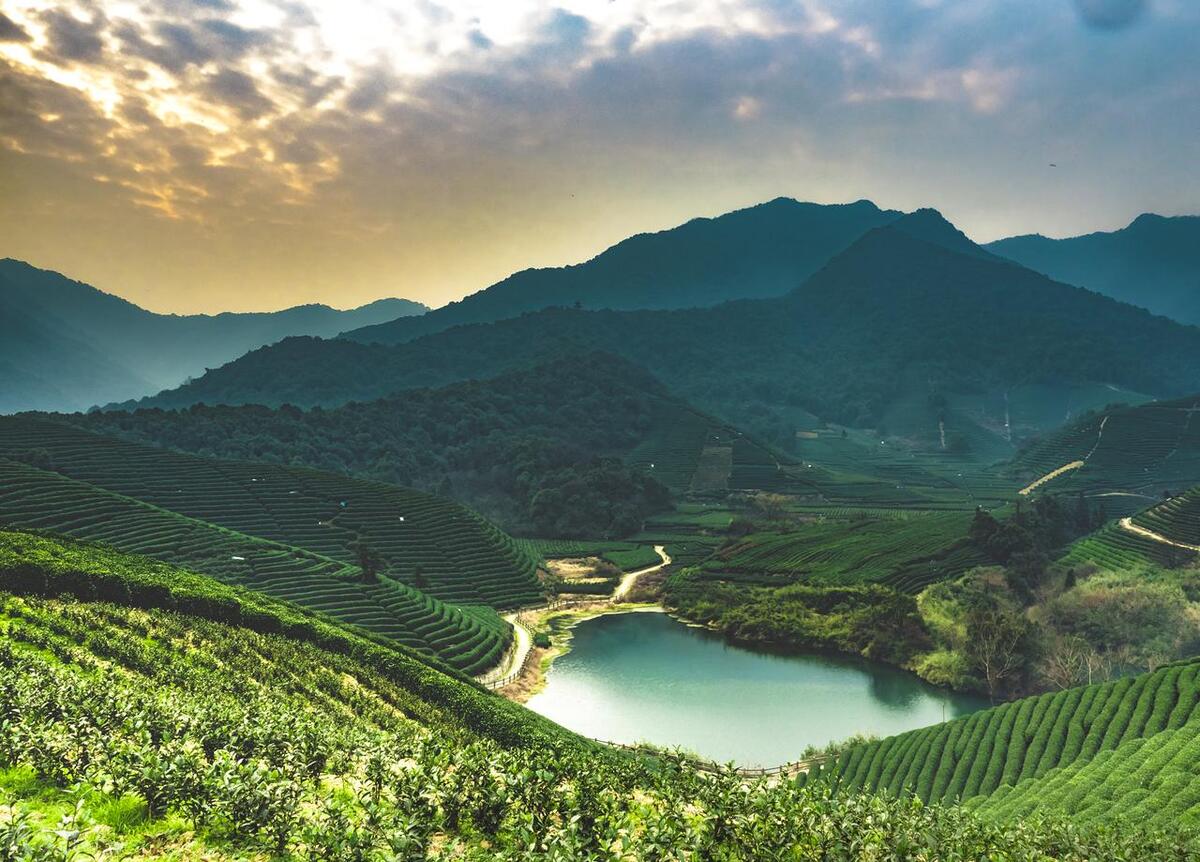 在唐诗宋词的花园里，茶是一朵琪花瑶草，袅袅茶香与茶韵流淌千年(图17)