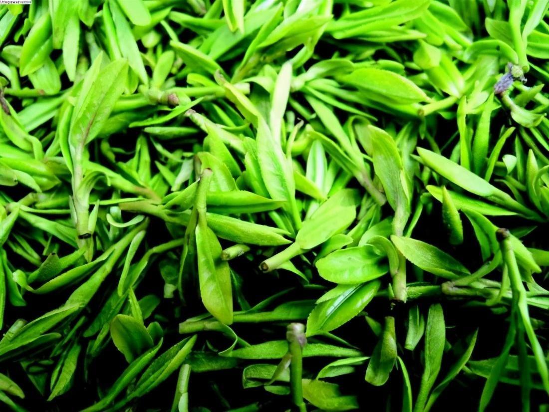 在唐诗宋词的花园里，茶是一朵琪花瑶草，袅袅茶香与茶韵流淌千年(图19)