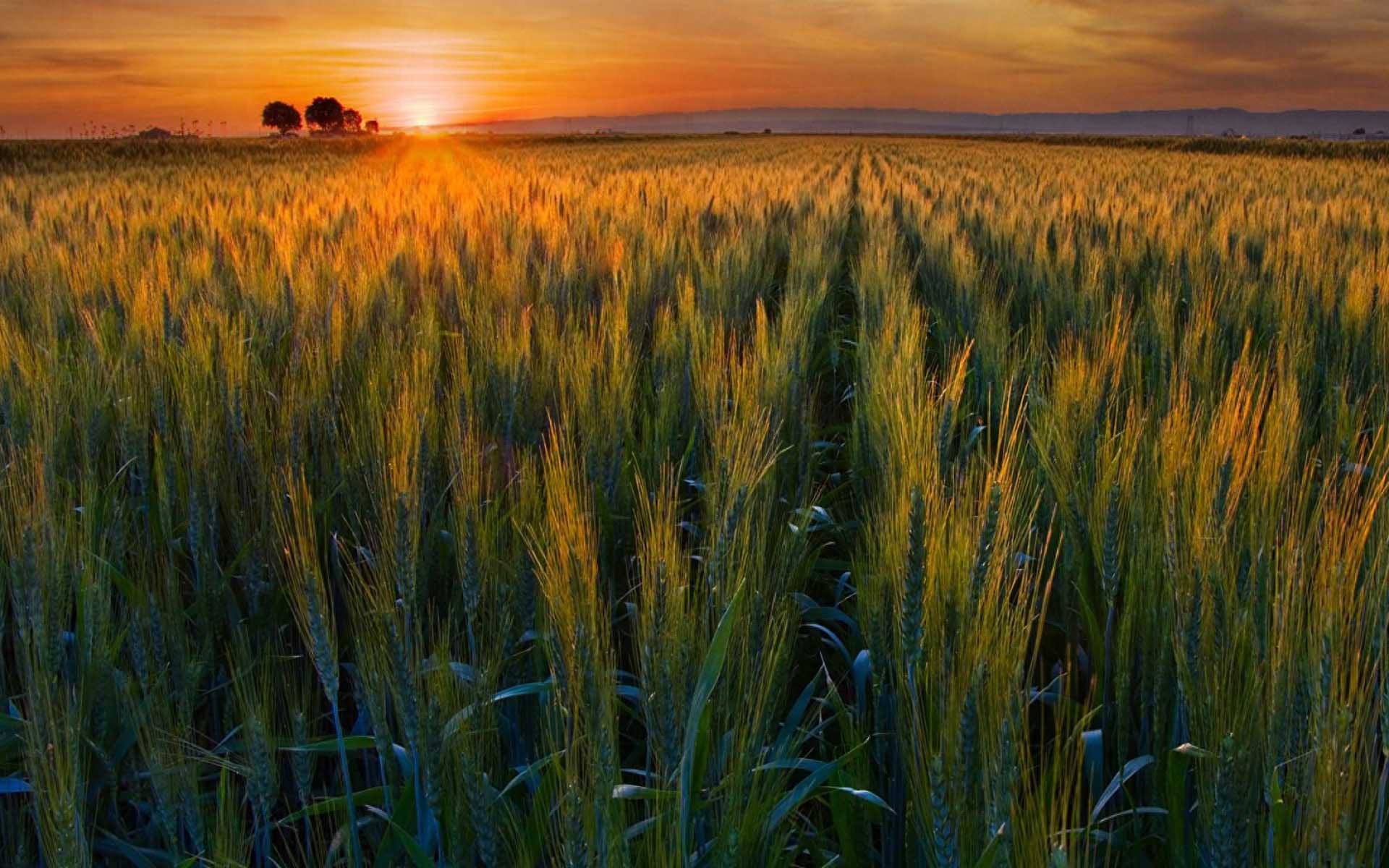 双语哲理美文：关于星空和月亮唯美句子(图4)