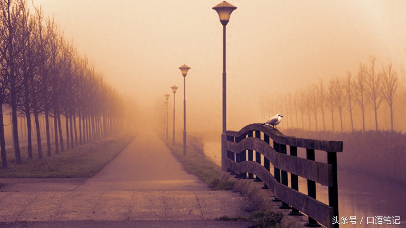 双语哲理美文：关于星空和月亮唯美句子(图8)