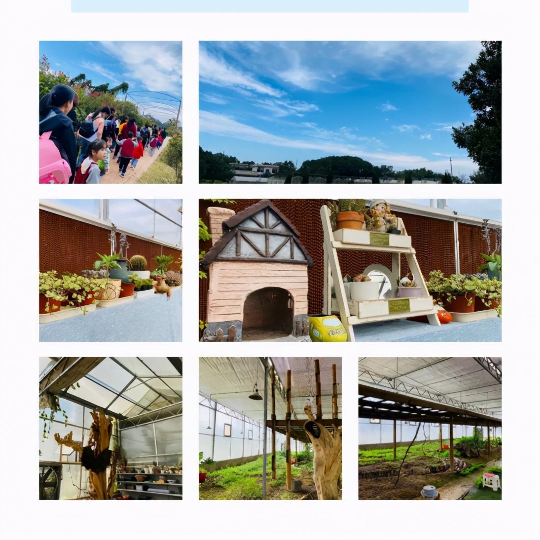 绚丽金秋，快乐出游—万婴格林园2020年朴愿博野农场亲子秋游(图2)