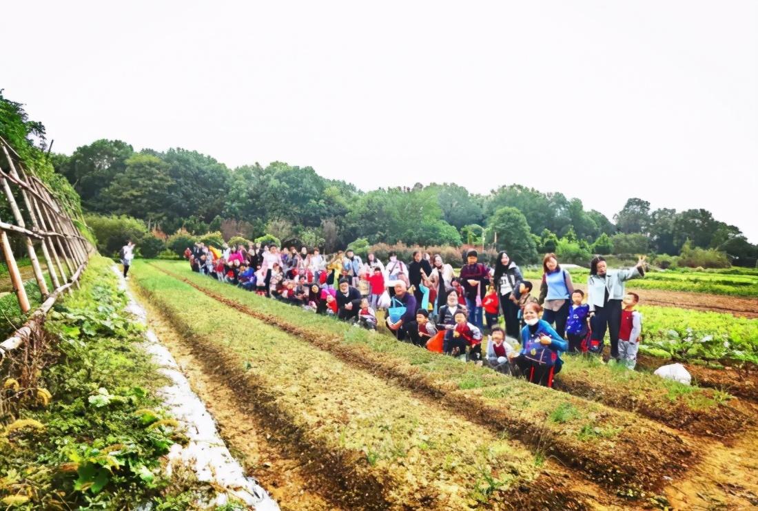 绚丽金秋，快乐出游—万婴格林园2020年朴愿博野农场亲子秋游(图5)