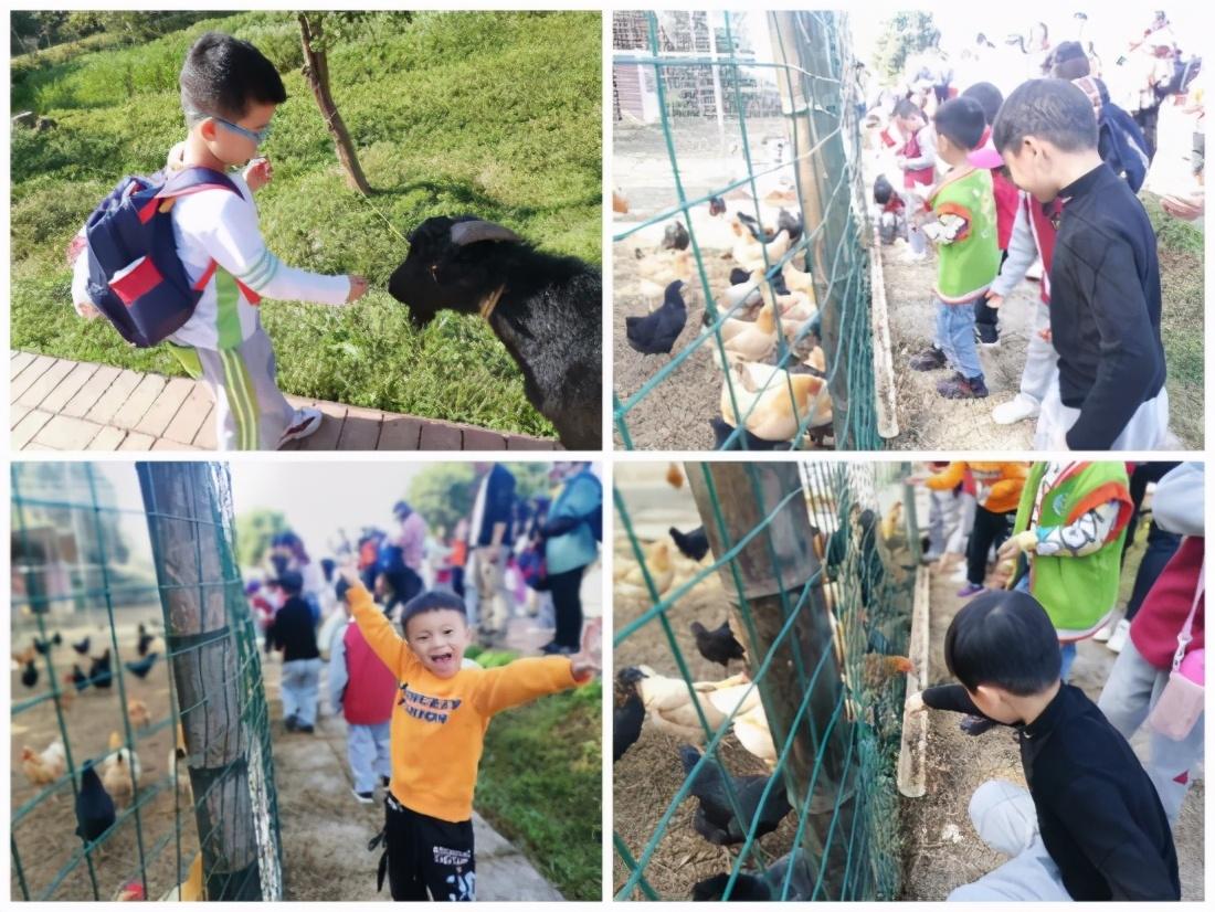 绚丽金秋，快乐出游—万婴格林园2020年朴愿博野农场亲子秋游(图8)