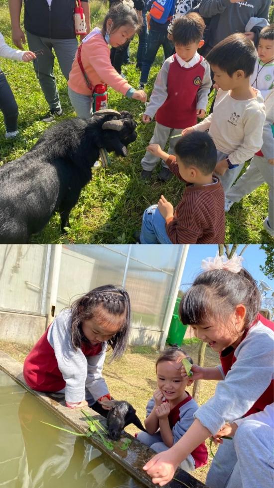 绚丽金秋，快乐出游—万婴格林园2020年朴愿博野农场亲子秋游(图9)