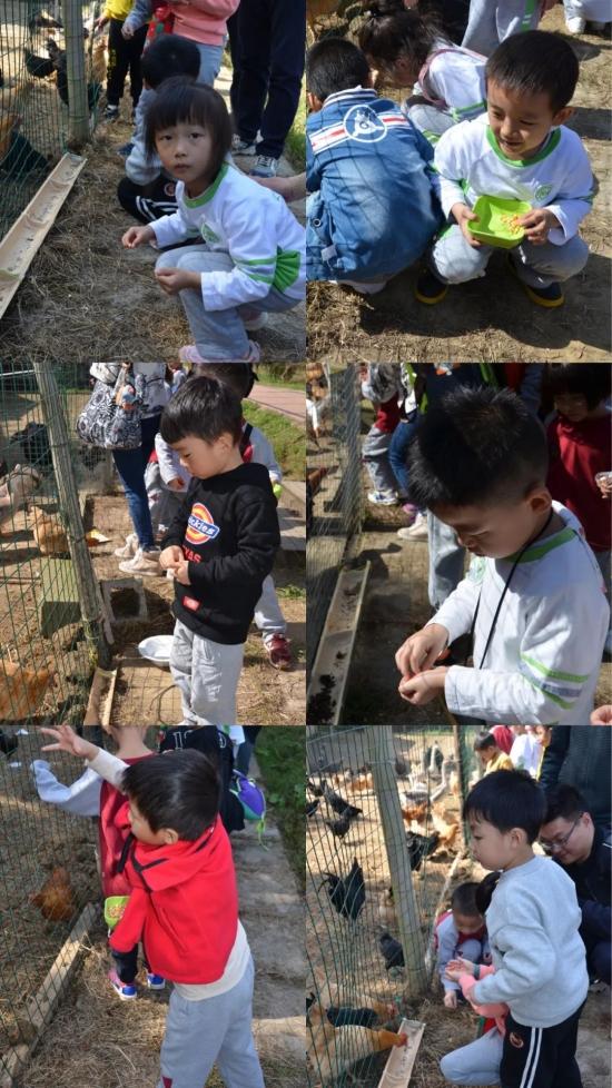 绚丽金秋，快乐出游—万婴格林园2020年朴愿博野农场亲子秋游(图10)