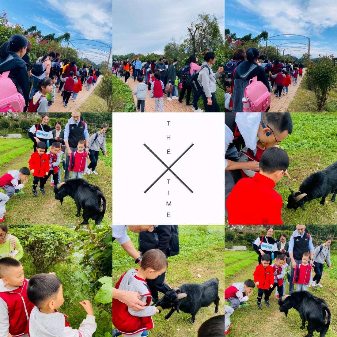 绚丽金秋，快乐出游—万婴格林园2020年朴愿博野农场亲子秋游(图11)