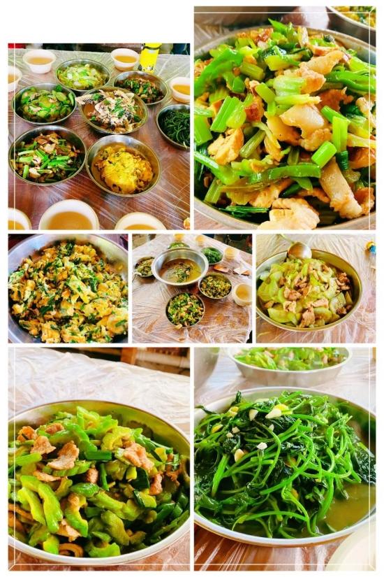 绚丽金秋，快乐出游—万婴格林园2020年朴愿博野农场亲子秋游(图12)