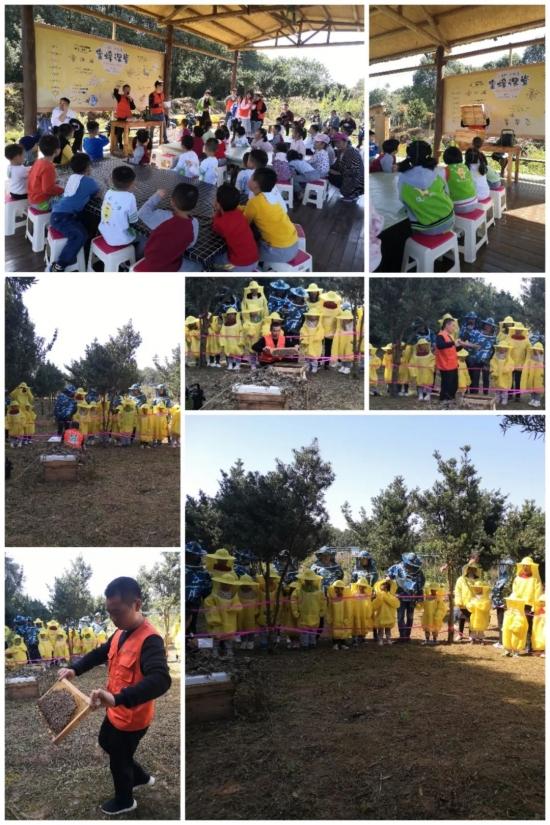 绚丽金秋，快乐出游—万婴格林园2020年朴愿博野农场亲子秋游(图19)