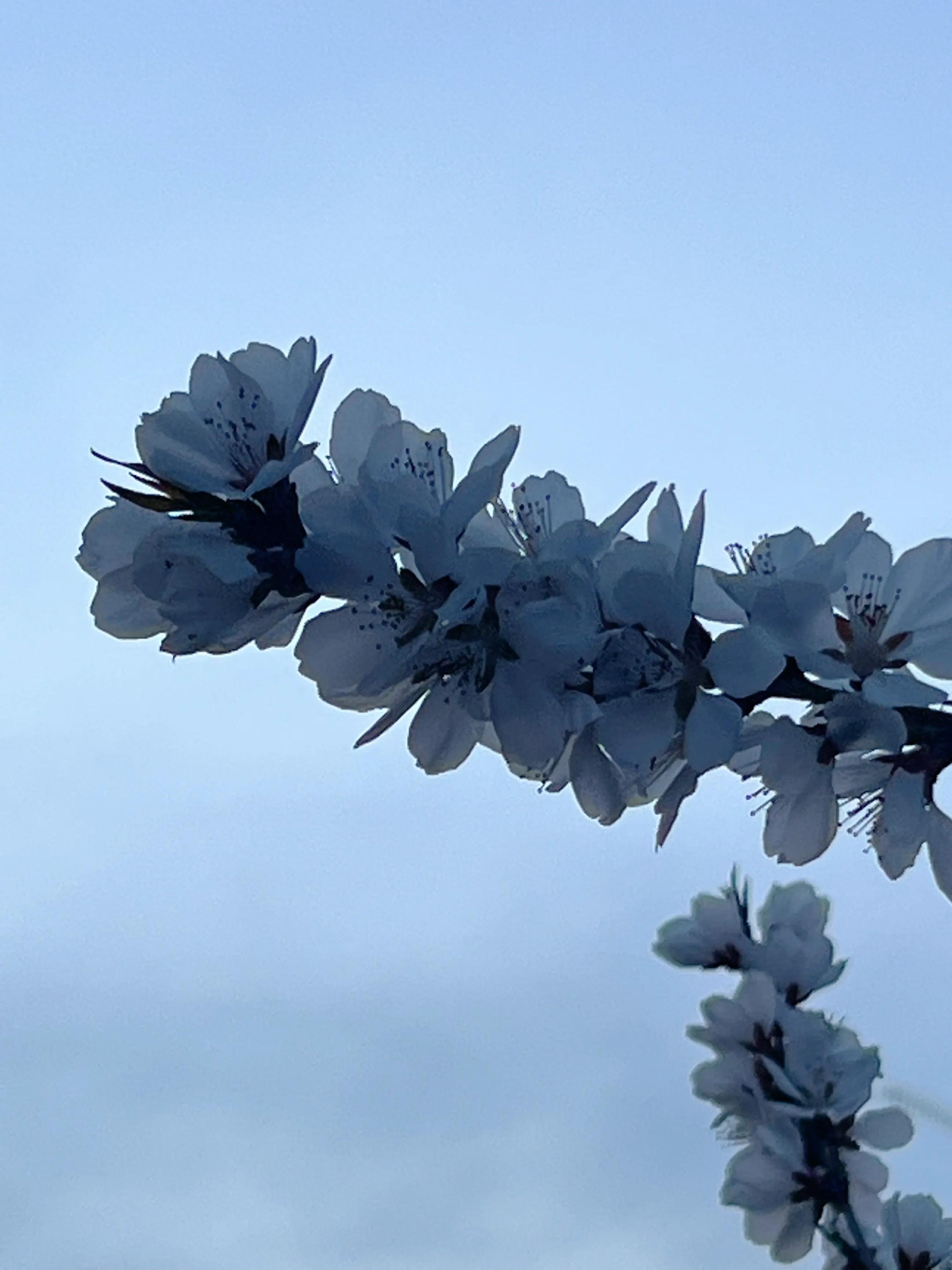 人生如歌，平淡是真，平淡是福，平淡的生活，成就美好的人生(图3)