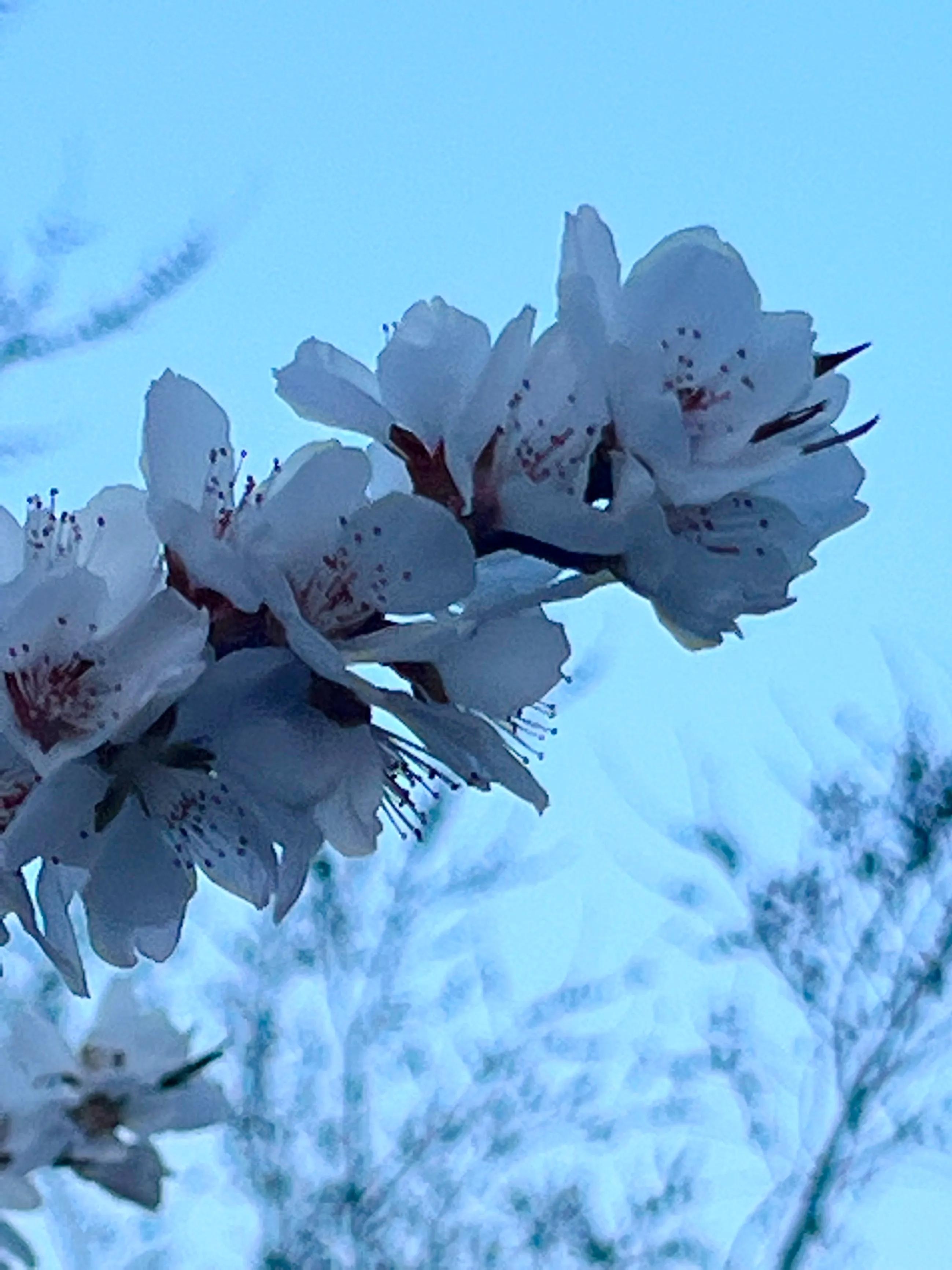 人生如歌，平淡是真，平淡是福，平淡的生活，成就美好的人生(图7)