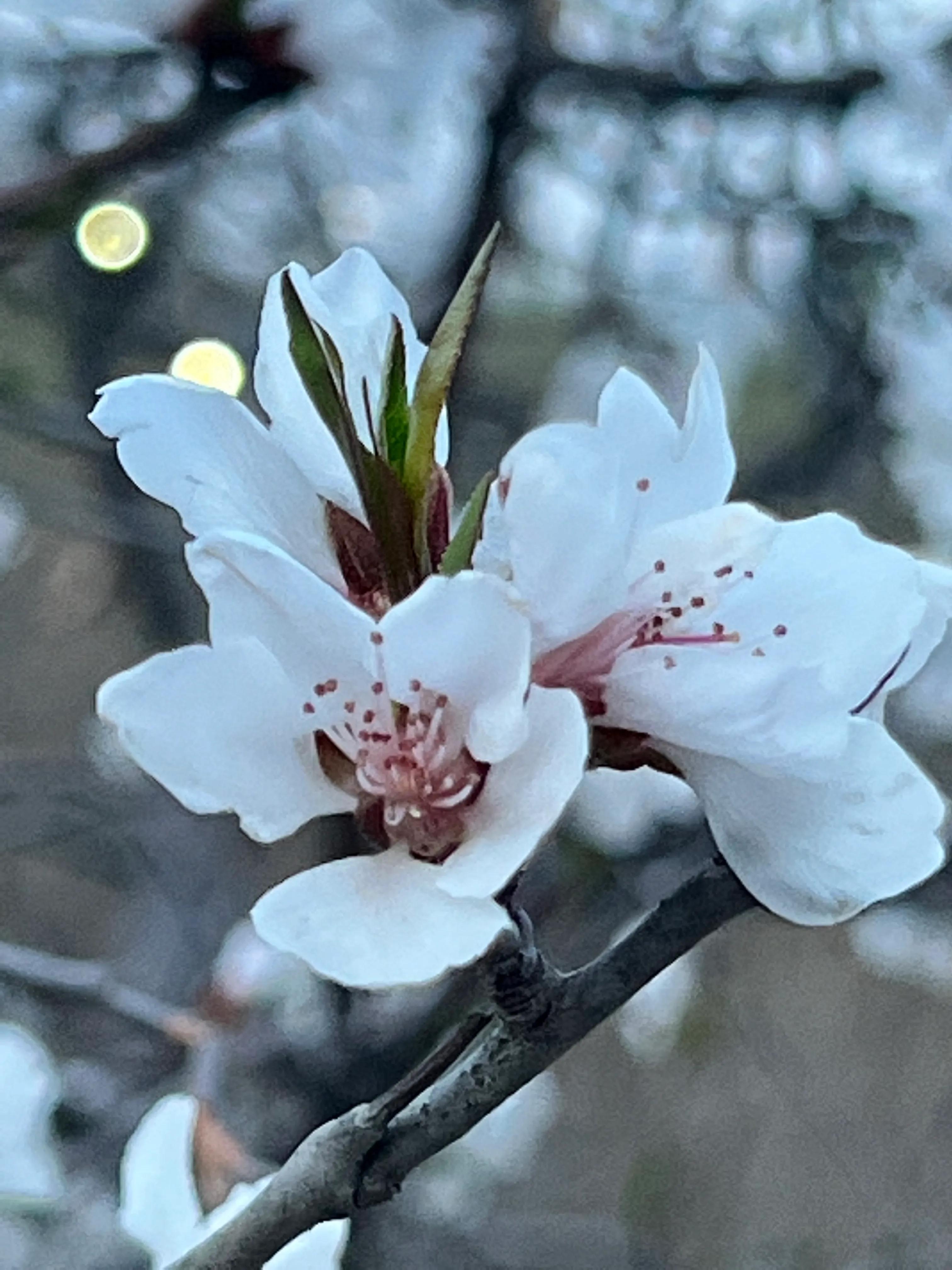 人生如歌，平淡是真，平淡是福，平淡的生活，成就美好的人生(图9)