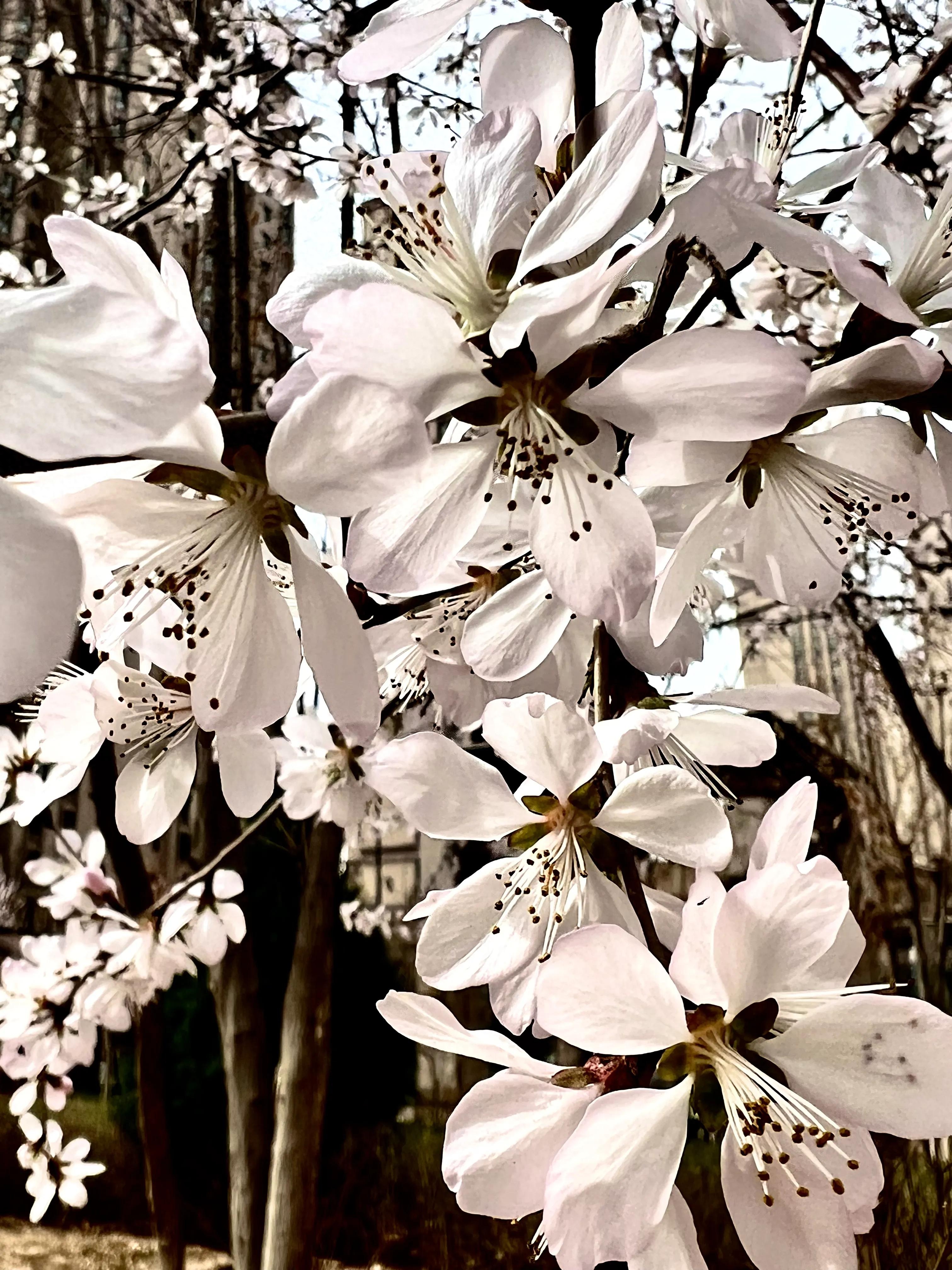 人生如歌，平淡是真，平淡是福，平淡的生活，成就美好的人生(图10)