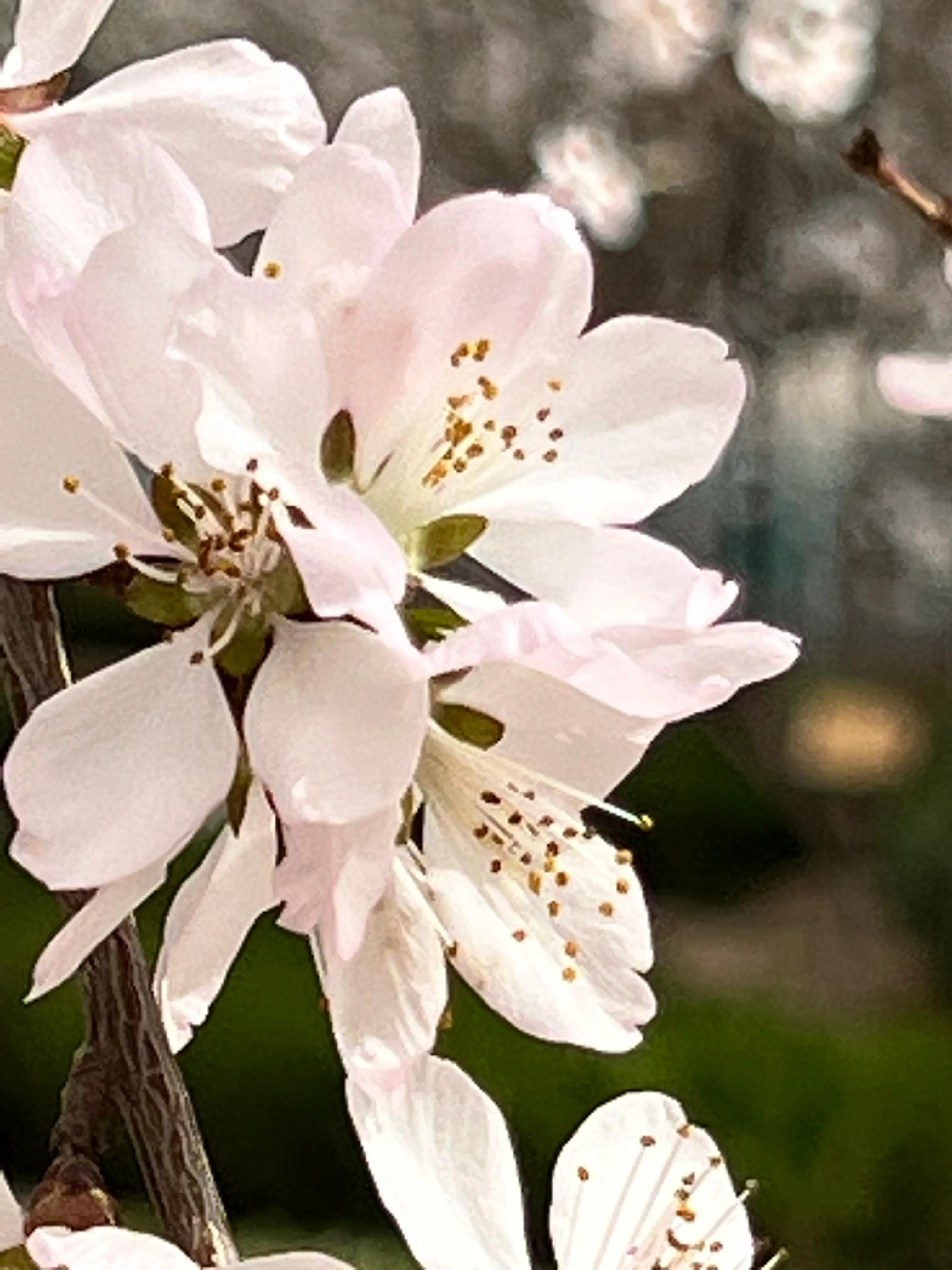 人生如歌，平淡是真，平淡是福，平淡的生活，成就美好的人生(图13)