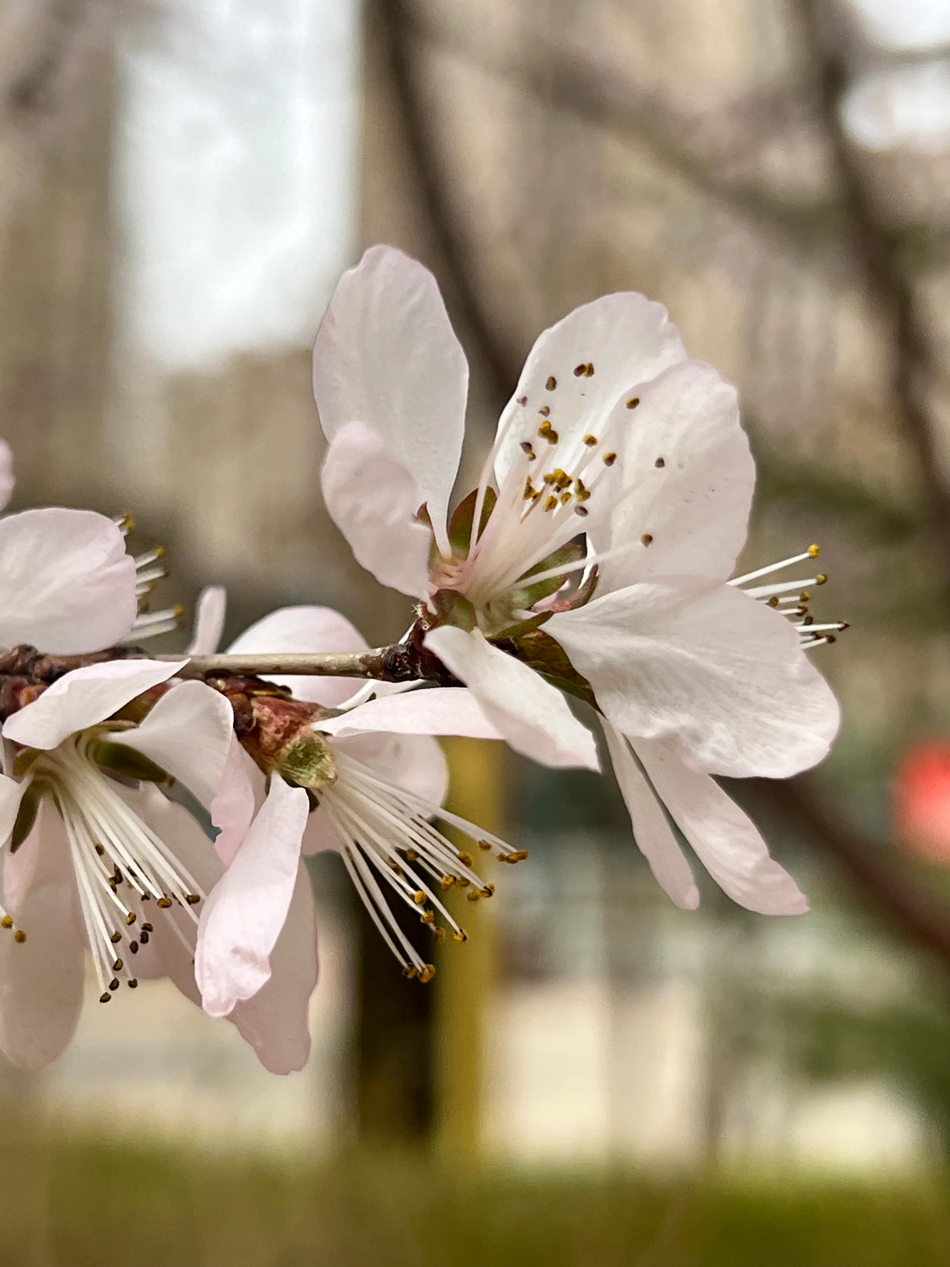 人生如歌，平淡是真，平淡是福，平淡的生活，成就美好的人生(图15)