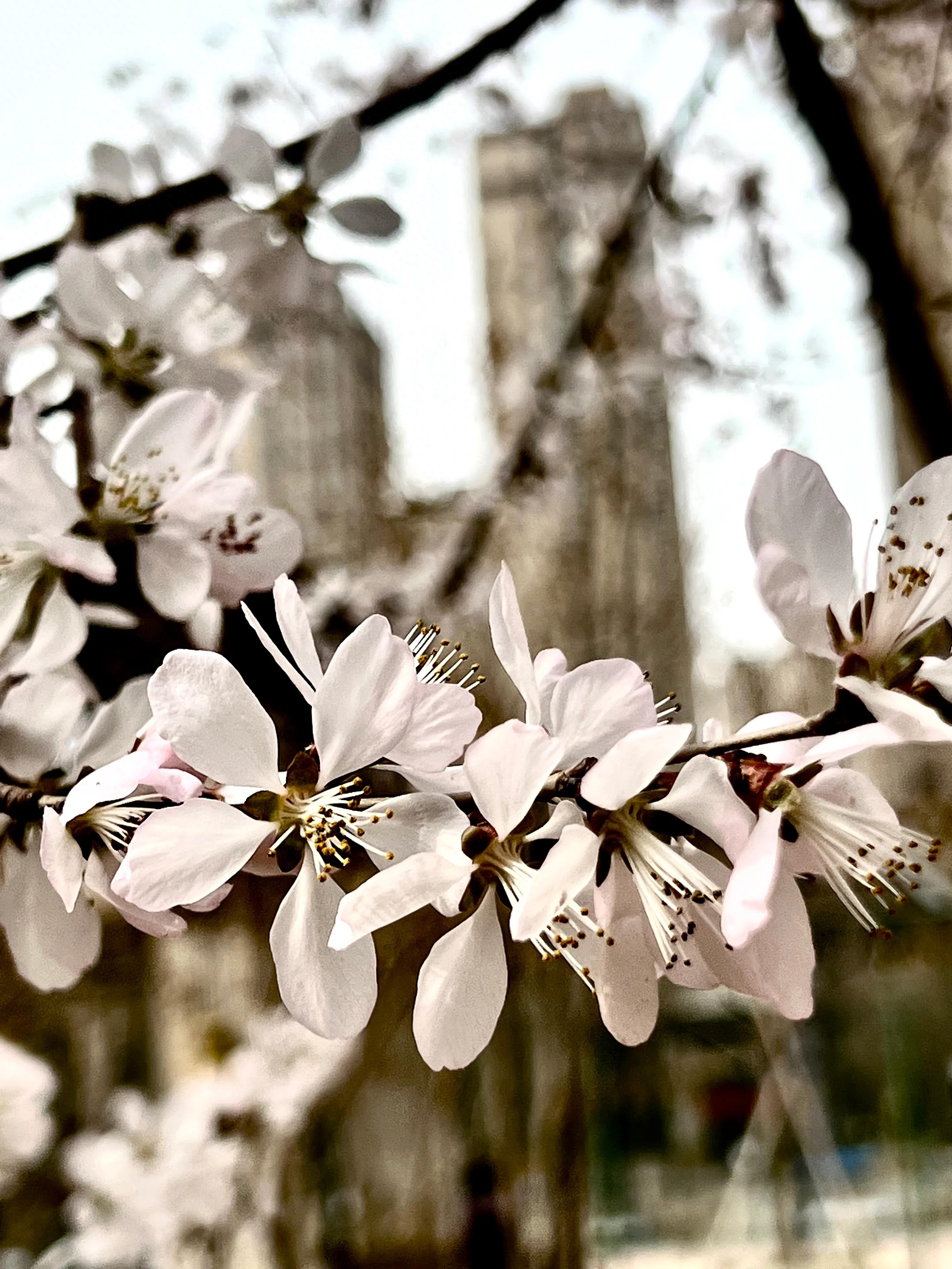人生如歌，平淡是真，平淡是福，平淡的生活，成就美好的人生(图16)