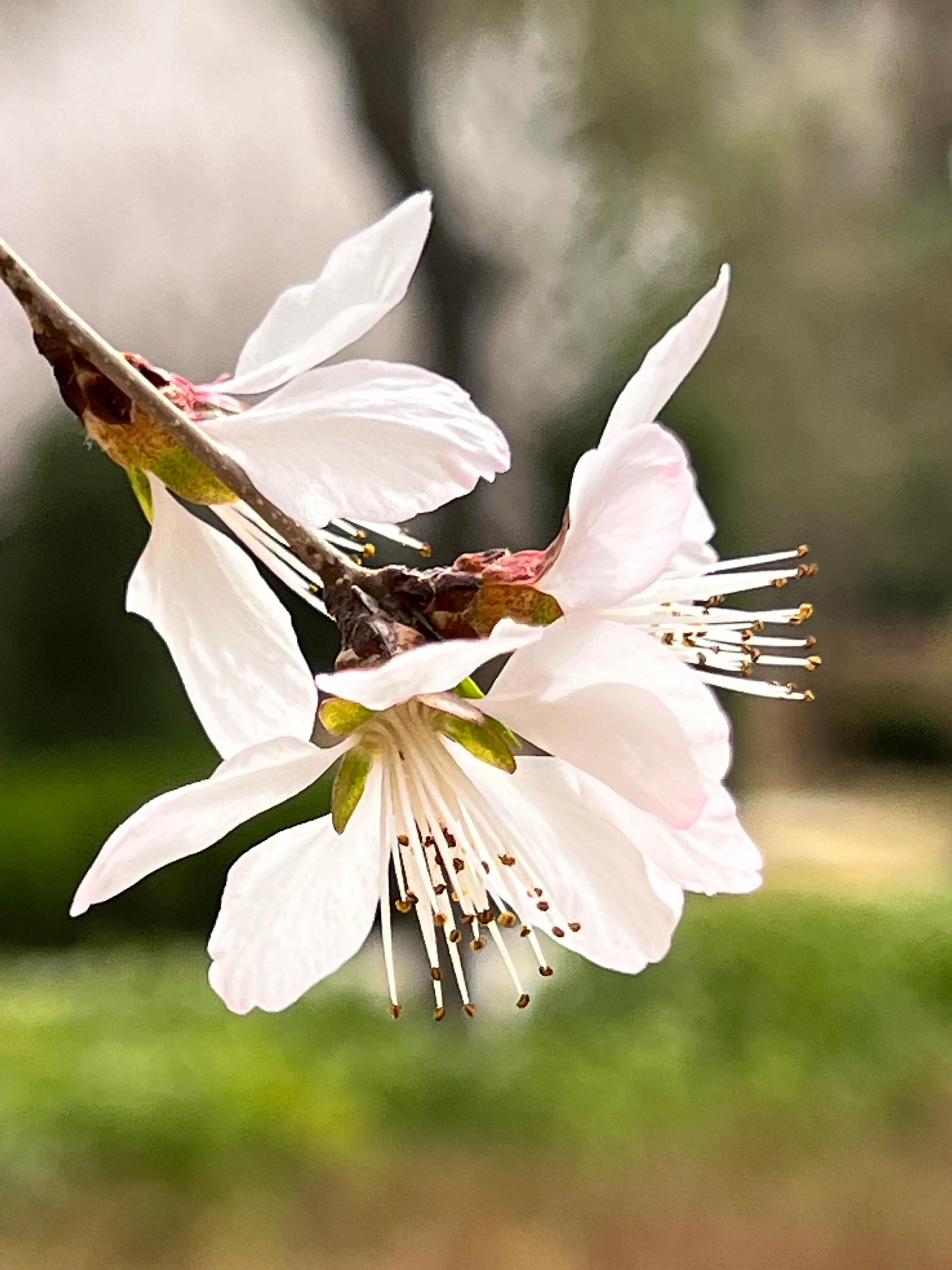 人生如歌，平淡是真，平淡是福，平淡的生活，成就美好的人生(图18)