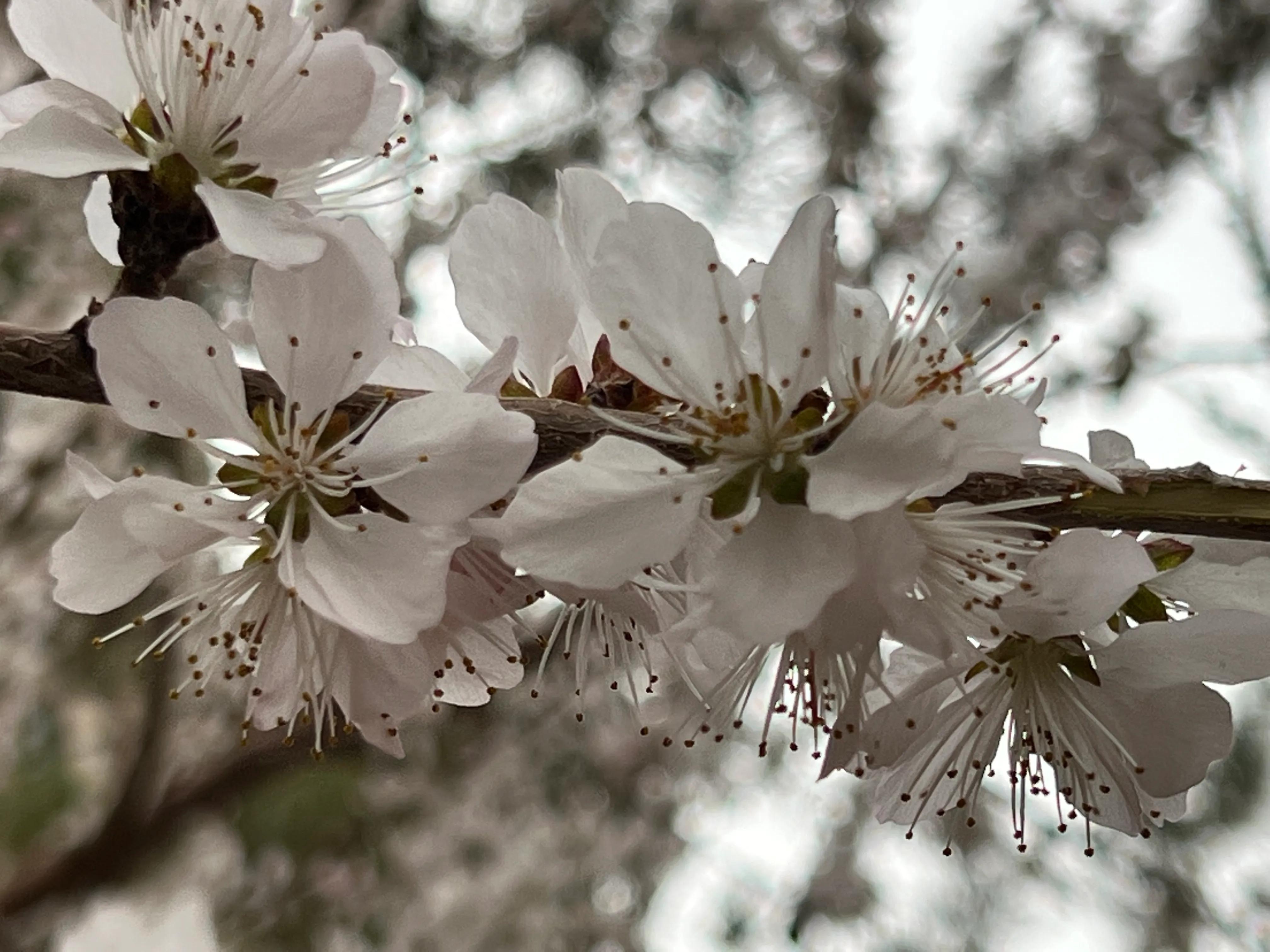 人生如歌，平淡是真，平淡是福，平淡的生活，成就美好的人生(图26)
