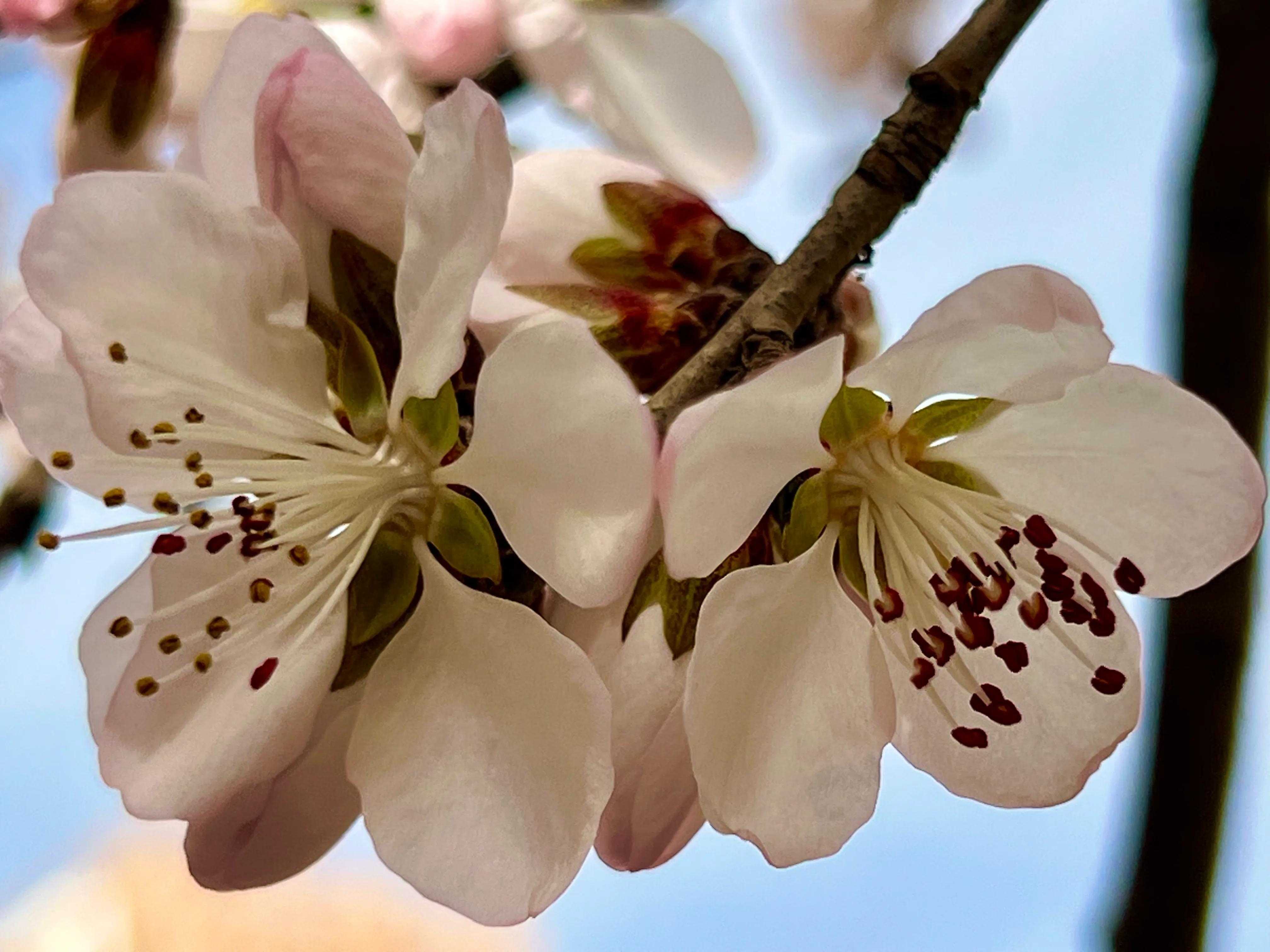 人生如歌，平淡是真，平淡是福，平淡的生活，成就美好的人生(图27)