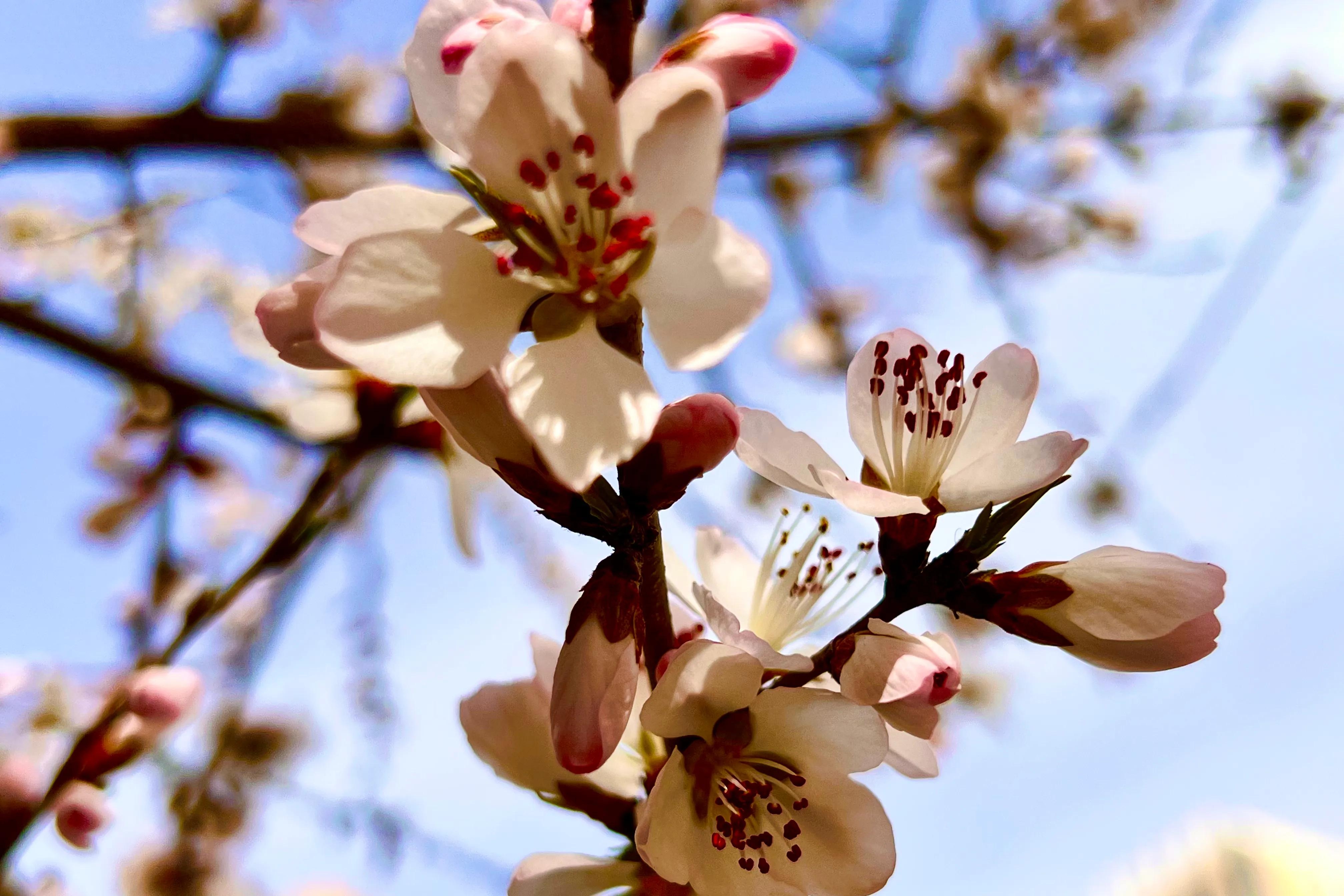人生如歌，平淡是真，平淡是福，平淡的生活，成就美好的人生(图28)