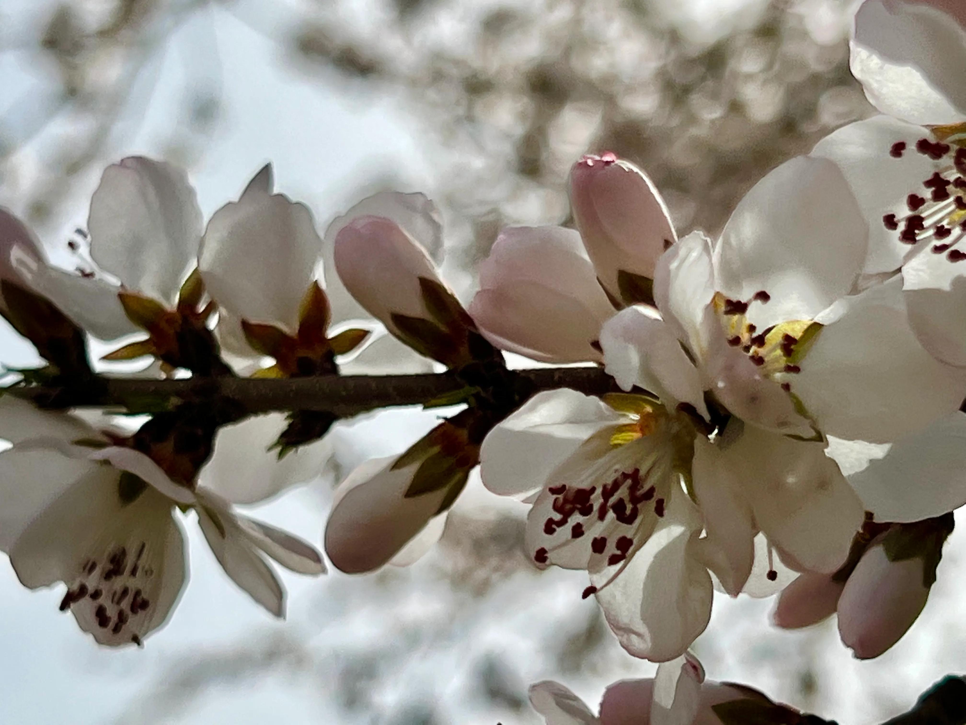 人生如歌，平淡是真，平淡是福，平淡的生活，成就美好的人生(图31)