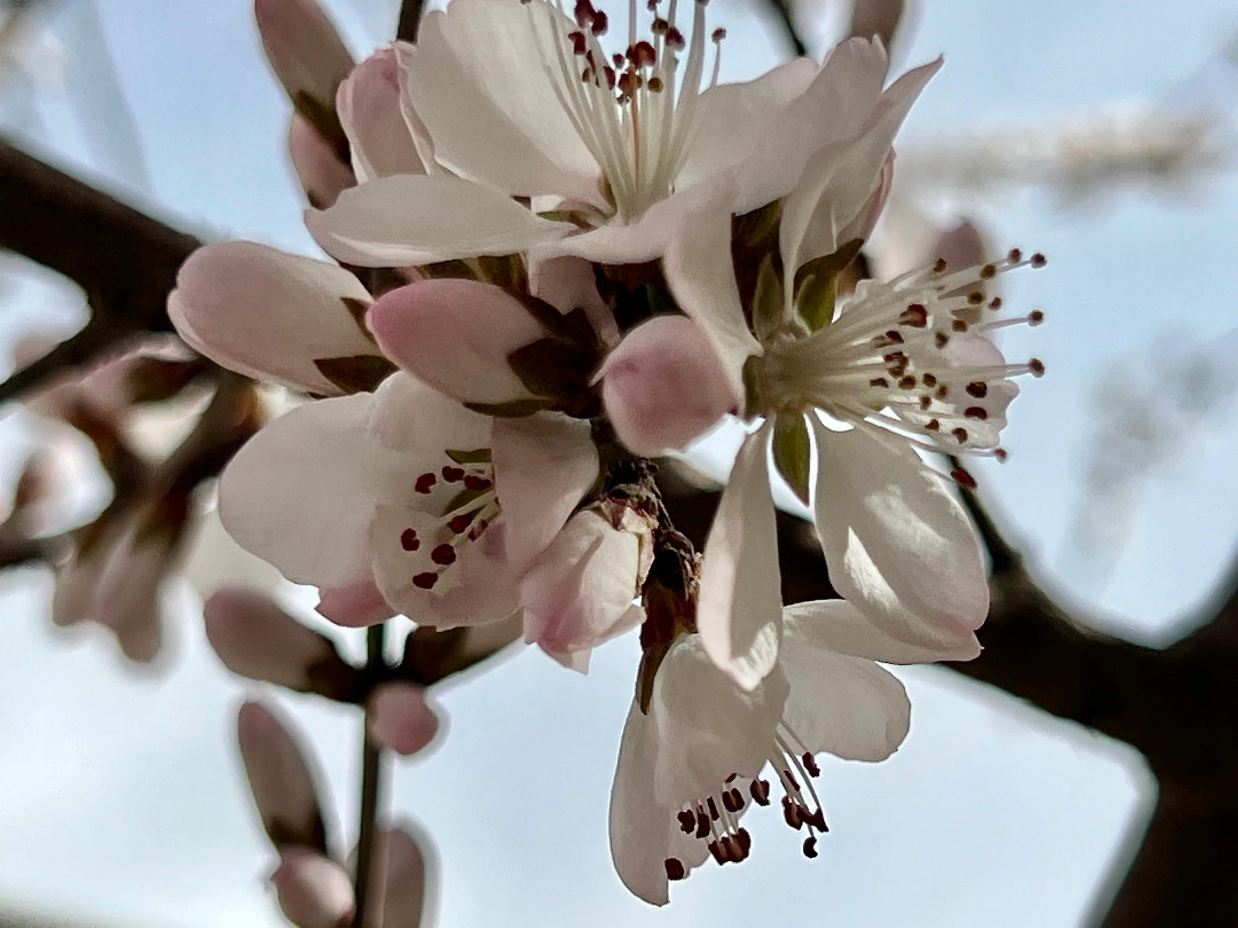 人生如歌，平淡是真，平淡是福，平淡的生活，成就美好的人生(图32)