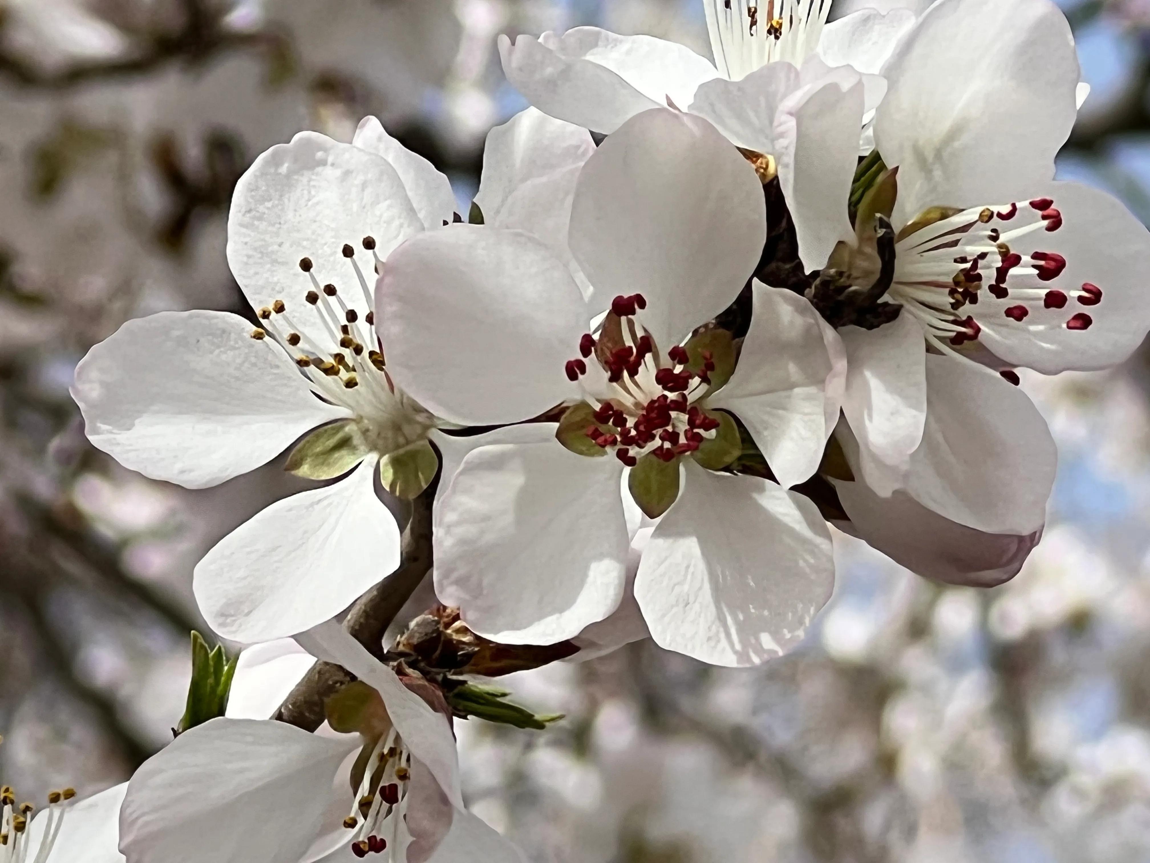 人生如歌，平淡是真，平淡是福，平淡的生活，成就美好的人生(图33)