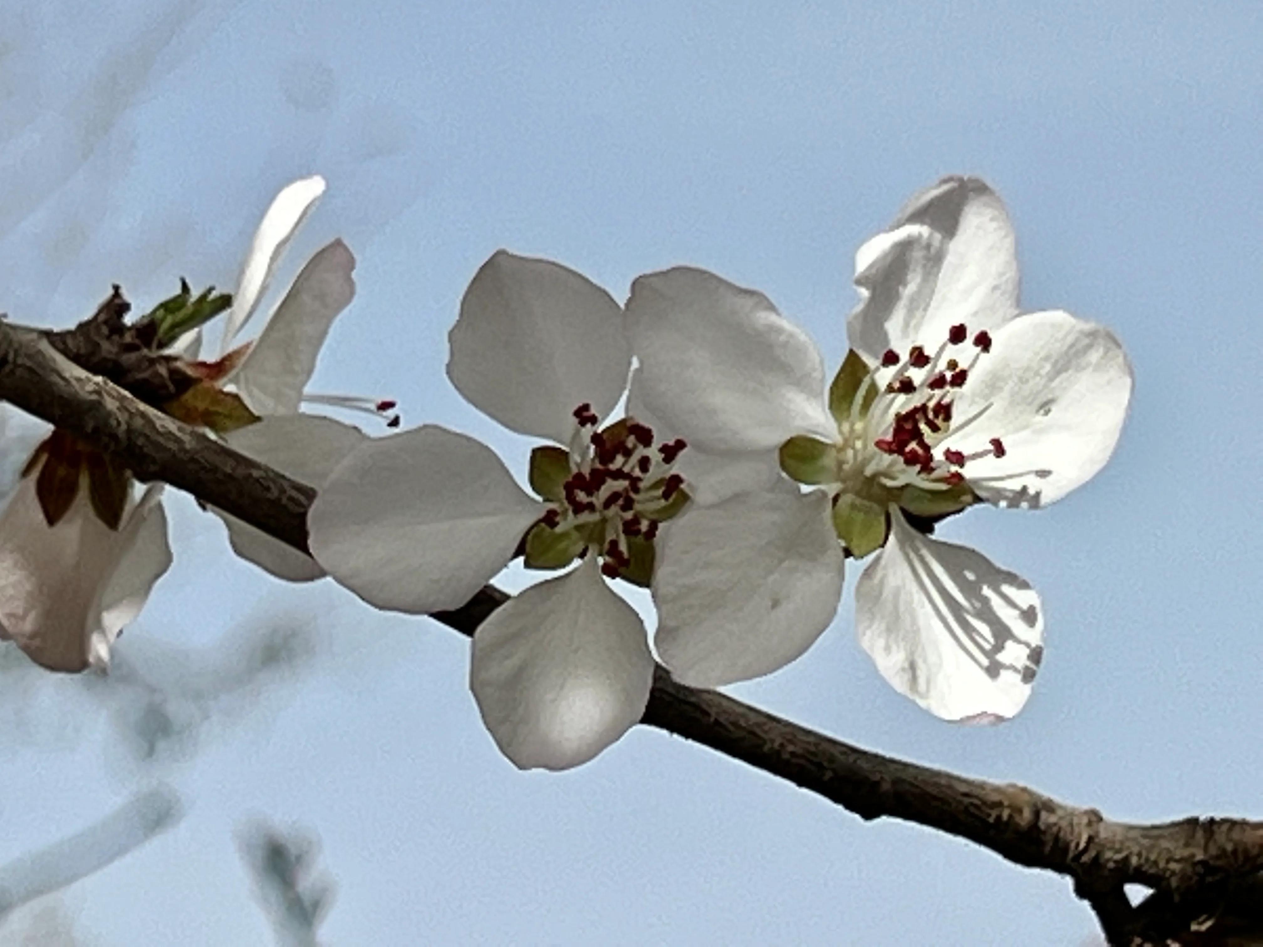 人生如歌，平淡是真，平淡是福，平淡的生活，成就美好的人生(图34)