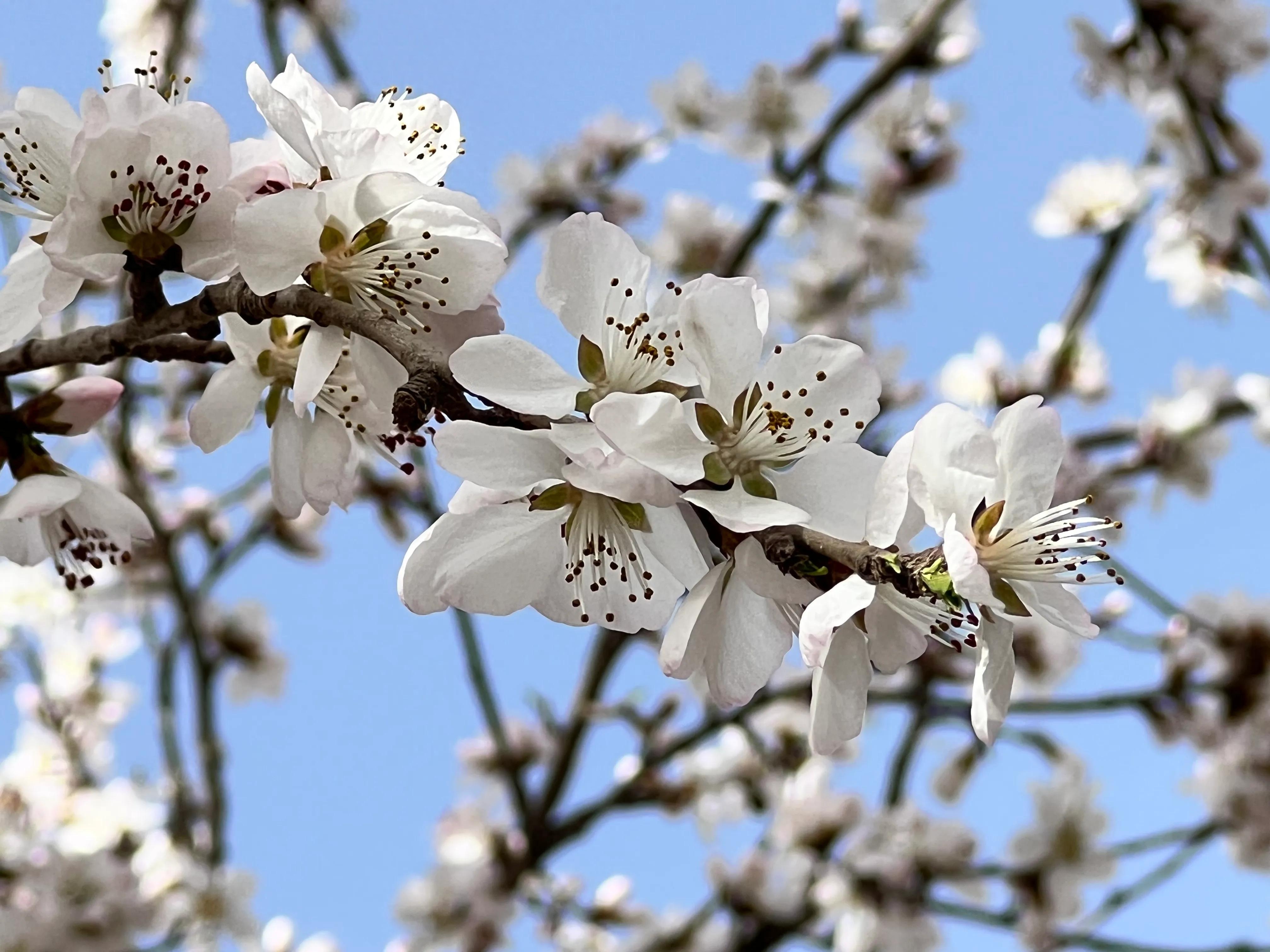 人生如歌，平淡是真，平淡是福，平淡的生活，成就美好的人生(图35)