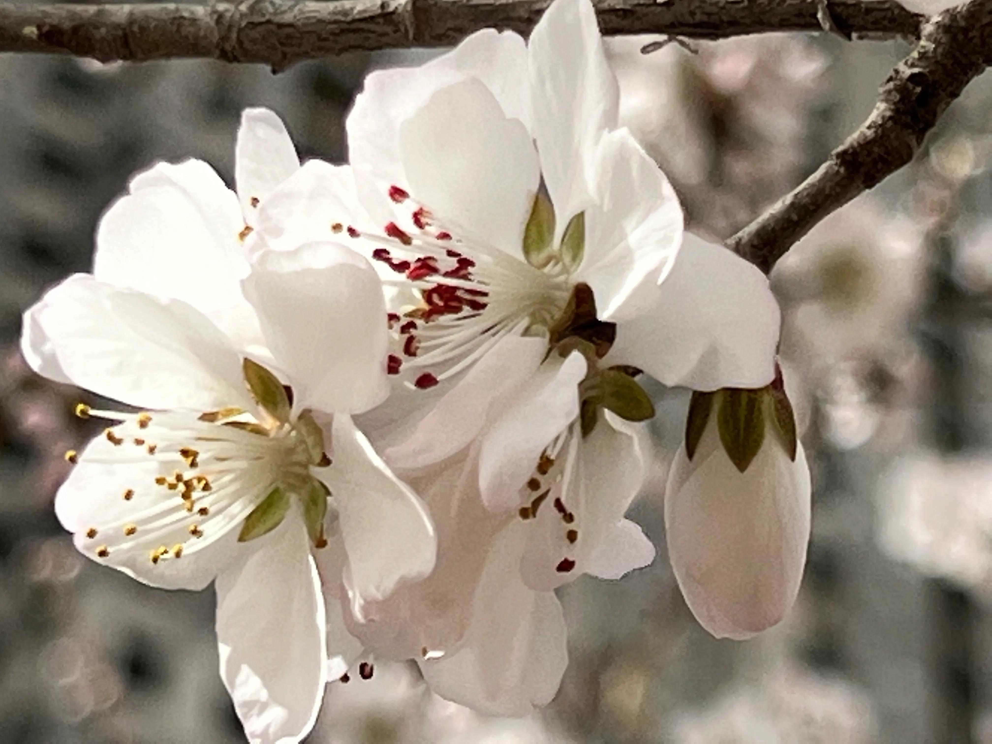 人生如歌，平淡是真，平淡是福，平淡的生活，成就美好的人生(图36)