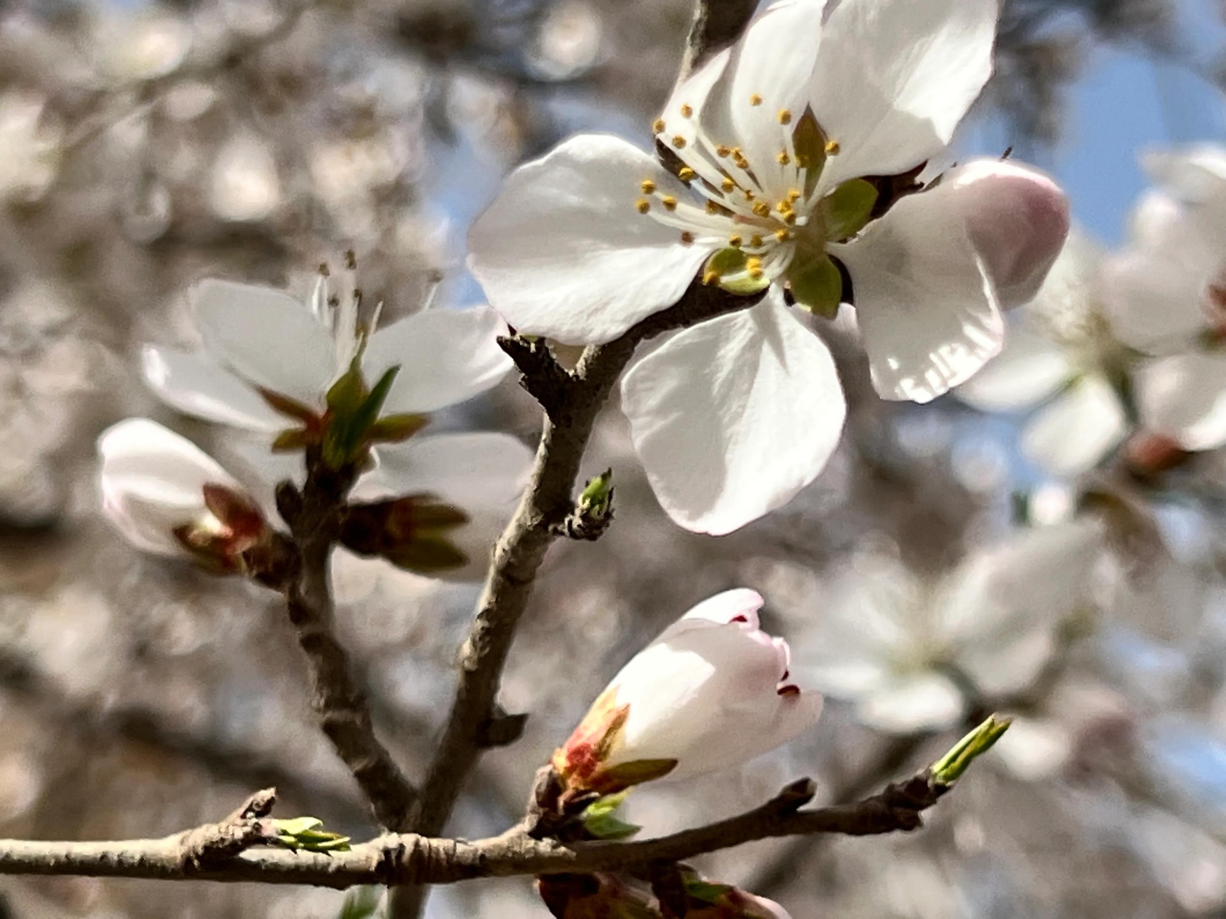 人生如歌，平淡是真，平淡是福，平淡的生活，成就美好的人生(图37)