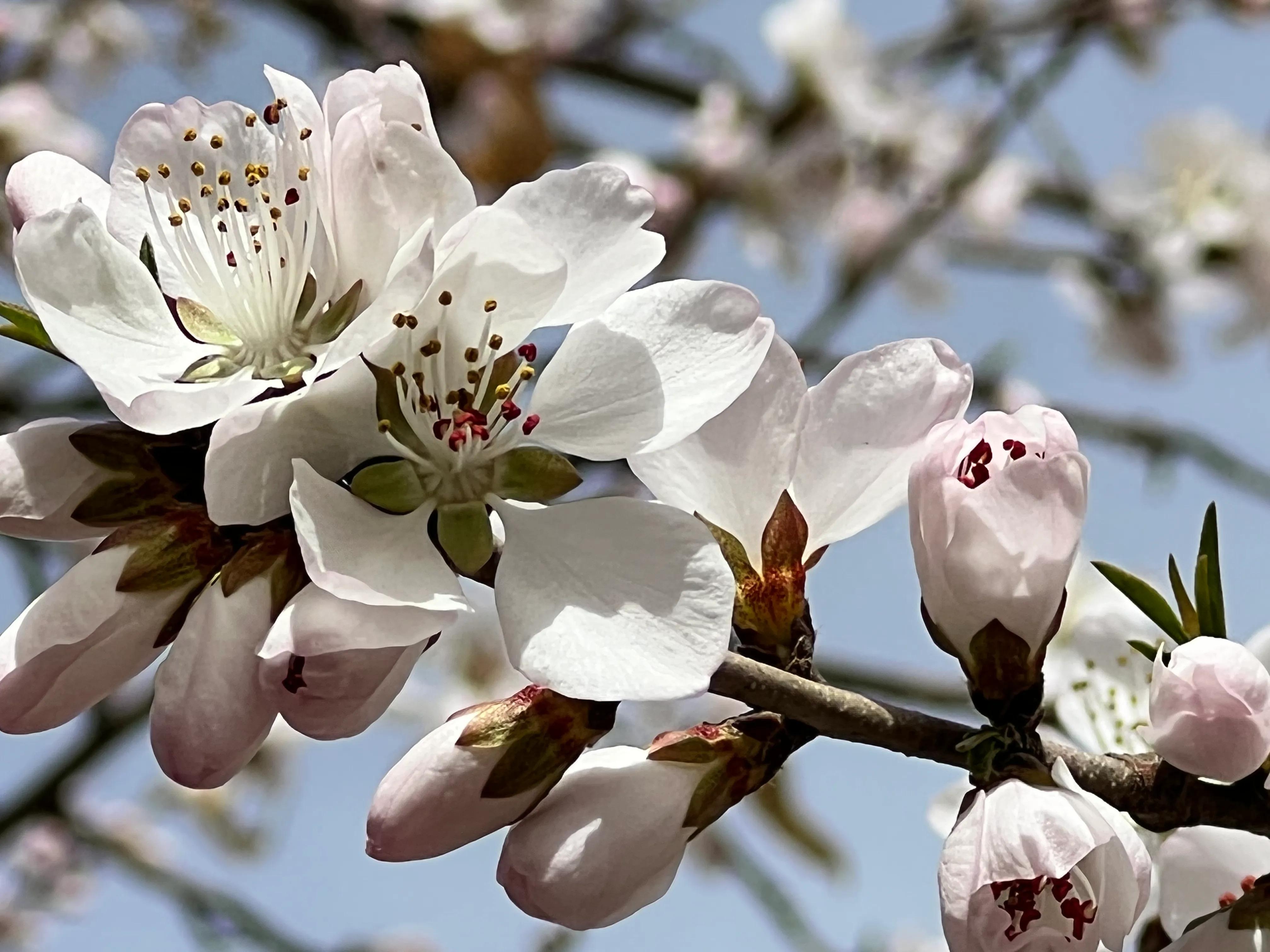 人生如歌，平淡是真，平淡是福，平淡的生活，成就美好的人生(图39)