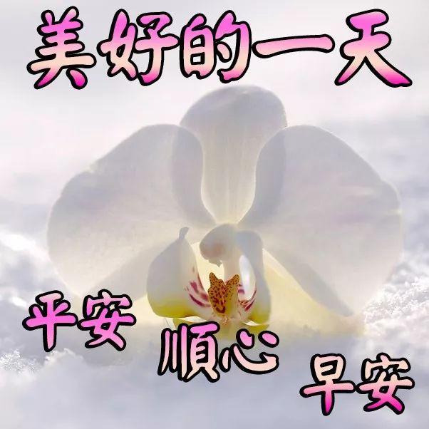 一天一天，日子简简单单；一年一年，生活平平淡淡，祝幸福每一天(图3)