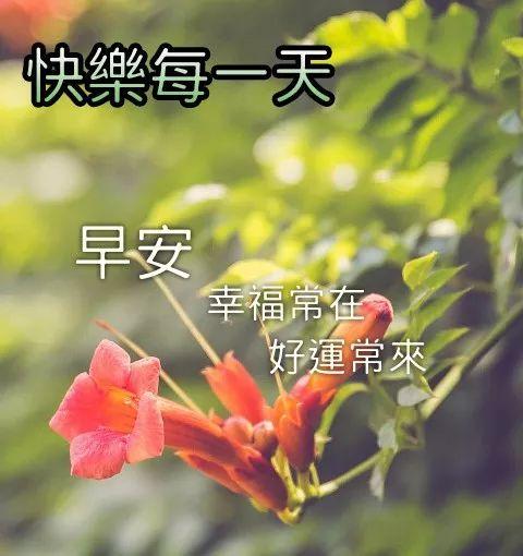 一天一天，日子简简单单；一年一年，生活平平淡淡，祝幸福每一天(图8)